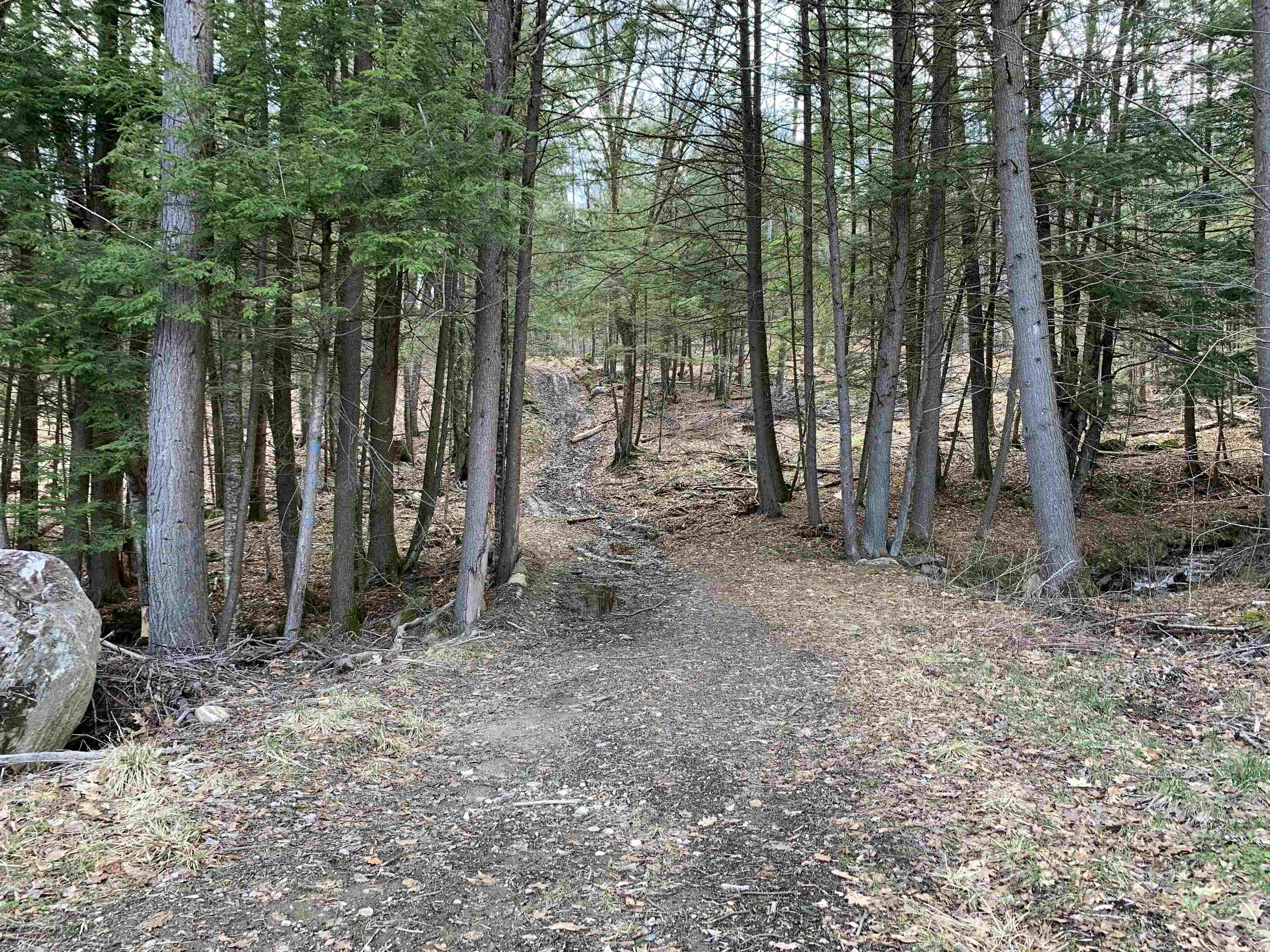 0 Sugar Lot Road Perkinsville, VT 05151 - Photo 11 of 13