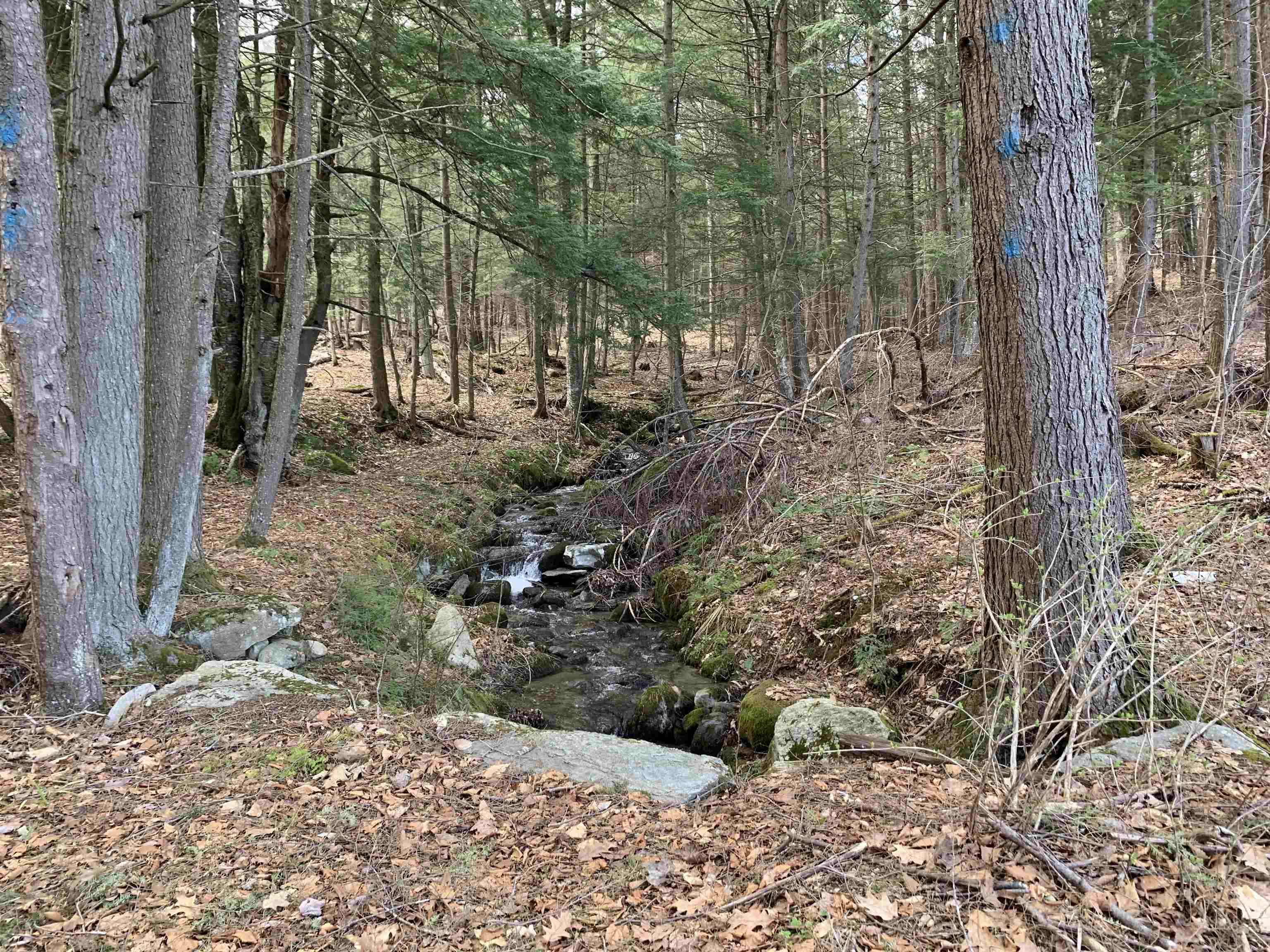 0 Sugar Lot Road Perkinsville, VT 05151 - Photo 12 of 13