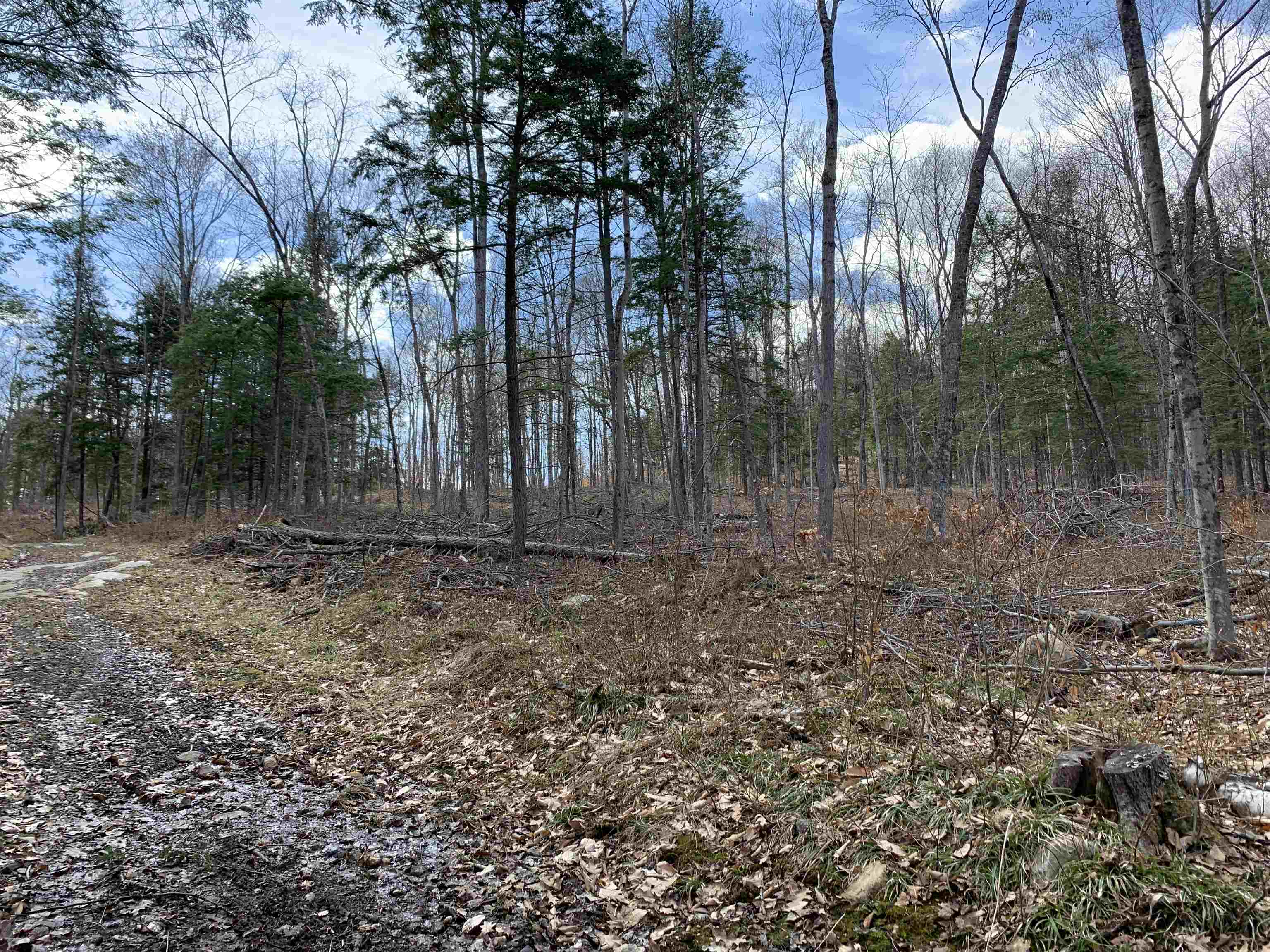 0 Sugar Lot Road Perkinsville, VT 05151 - Photo 13 of 13