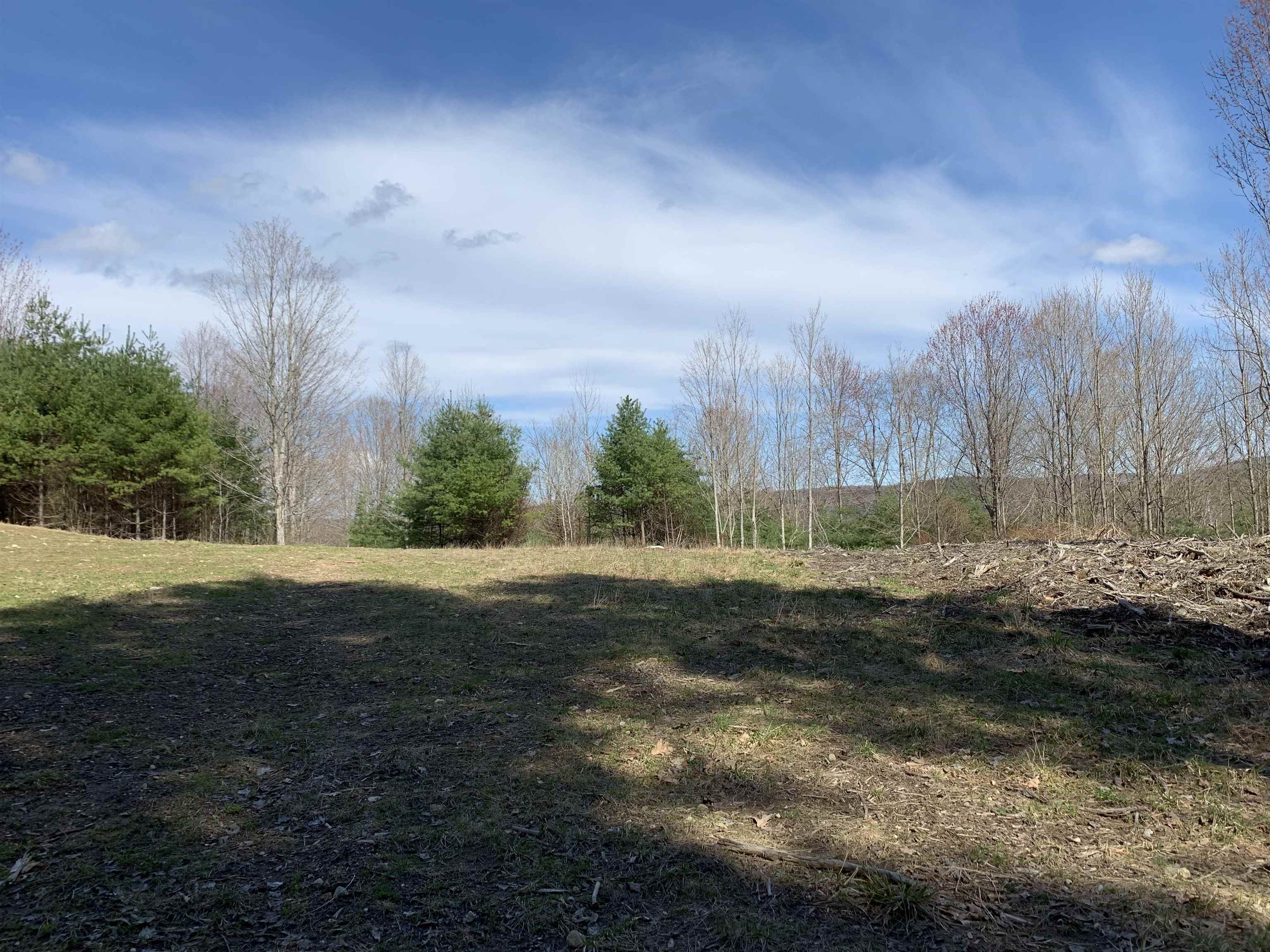0 Sugar Lot Road Perkinsville, VT 05151 - Photo 2 of 13