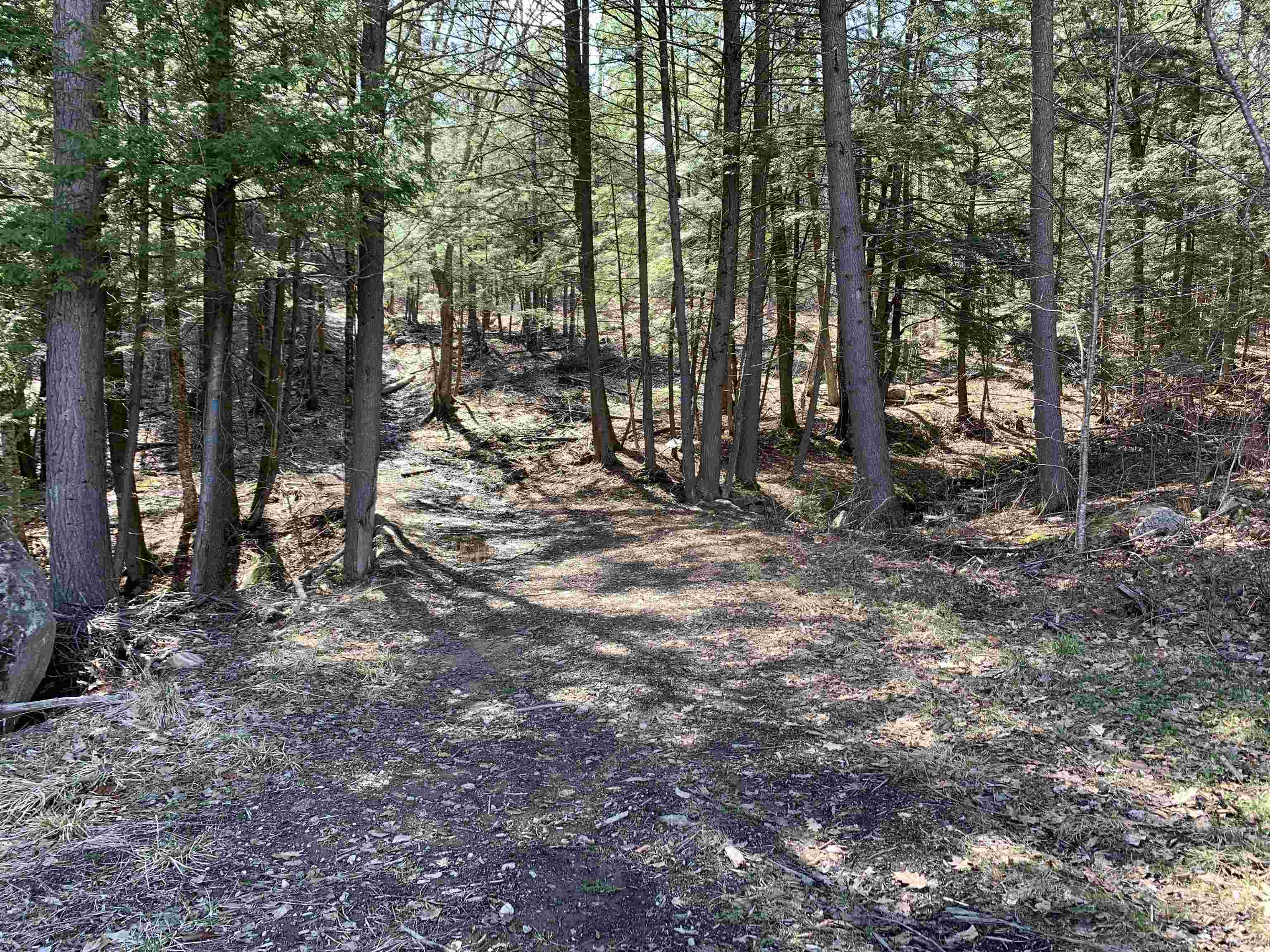 0 Sugar Lot Road Perkinsville, VT 05151 - Photo 3 of 13