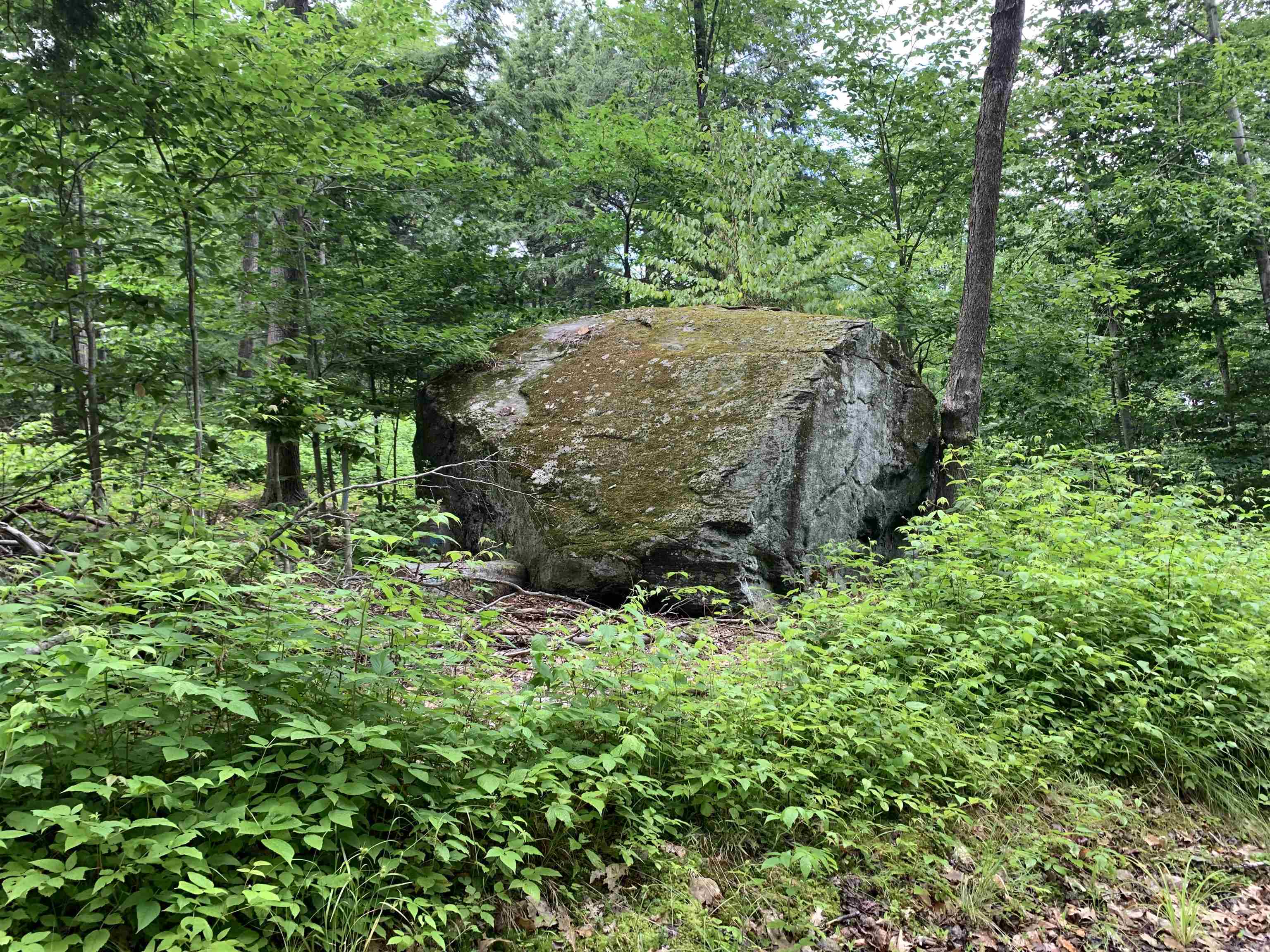0 Sugar Lot Road Perkinsville, VT 05151 - Photo 5 of 13