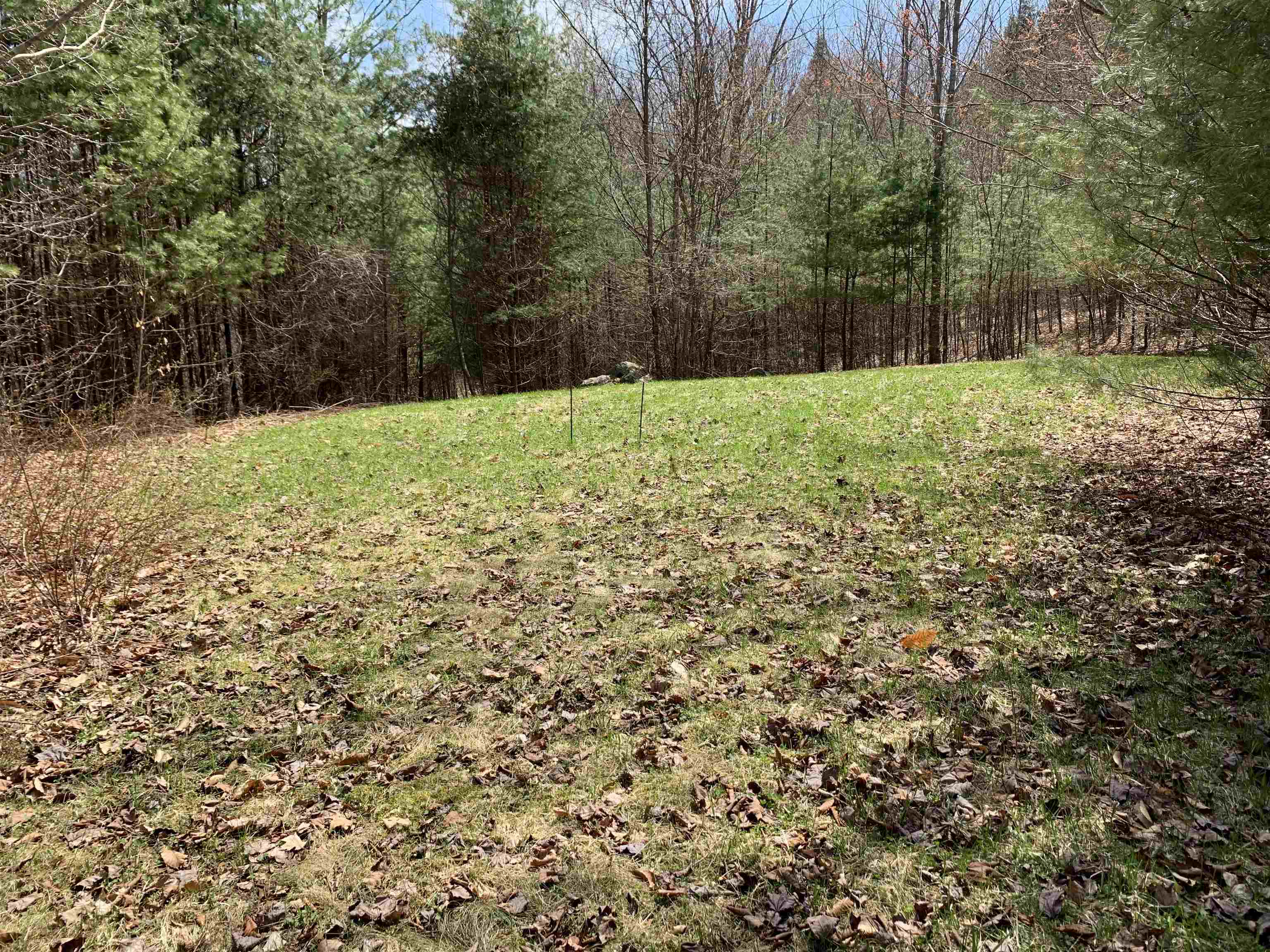 0 Sugar Lot Road Perkinsville, VT 05151 - Photo 7 of 13