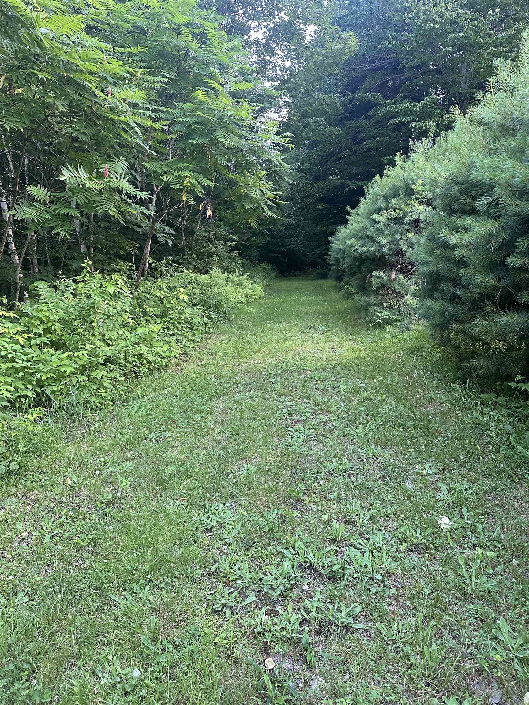 0 Sugar Lot Road Perkinsville, VT 05151 - Photo 8 of 13