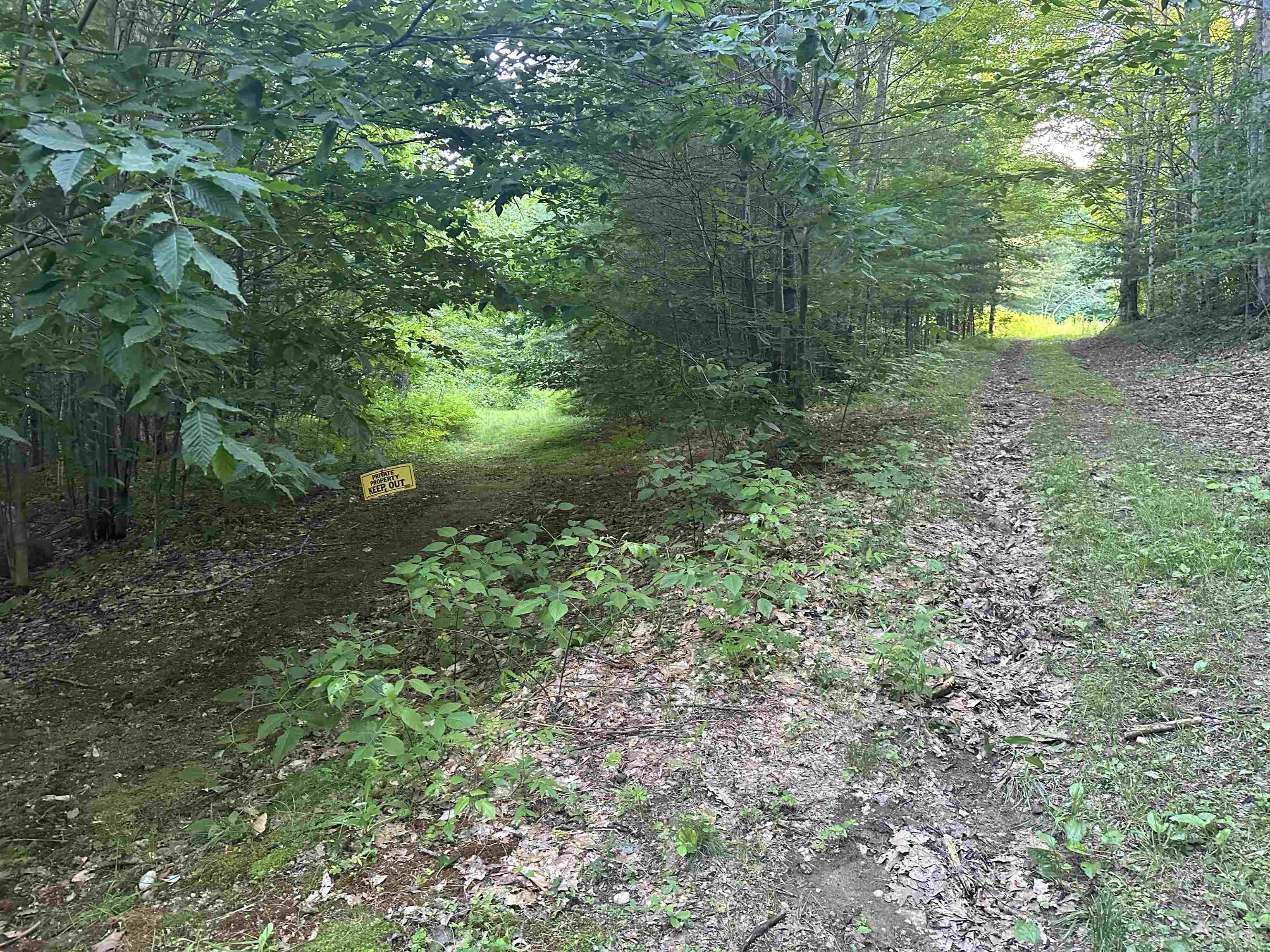 0 Sugar Lot Road Perkinsville, VT 05151 - Photo 9 of 13