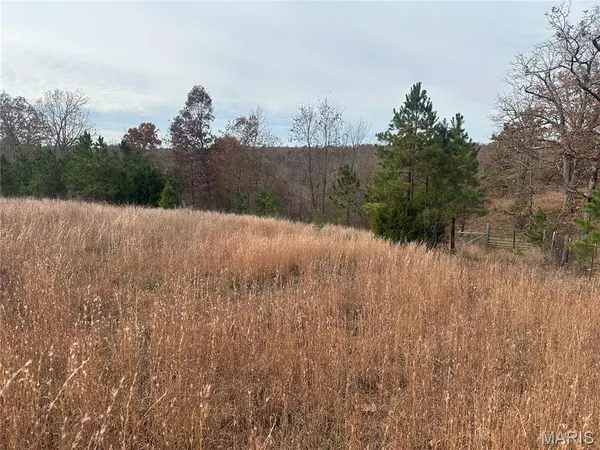 $195,900 | 4330 Highway Y Ellington Mo 63638, Ellington, MO 63638