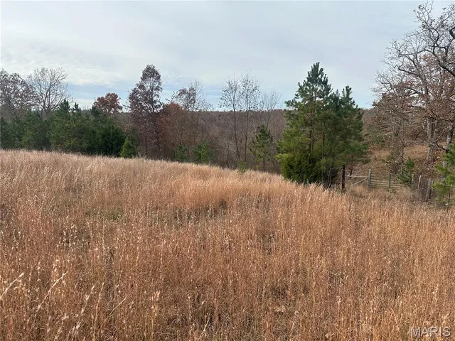 $195,900 | 4330 Highway Y Ellington Mo 63638, Ellington, MO 63638