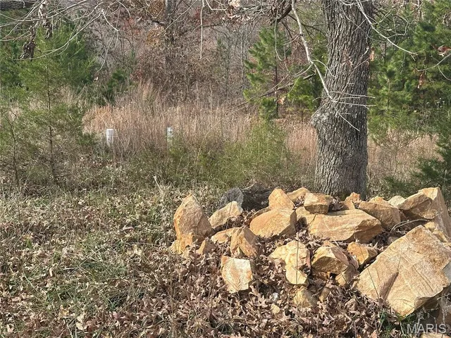 $195,900 | 4330 Highway Y Ellington Mo 63638, Ellington, MO 63638