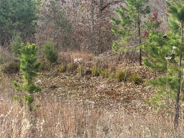 $195,900 | 4330 Highway Y Ellington Mo 63638, Ellington, MO 63638