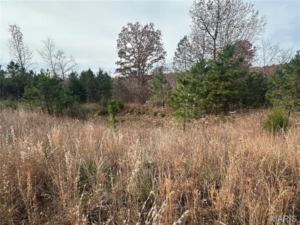 $195,900 | 4330 Highway Y Ellington Mo 63638, Ellington, MO 63638