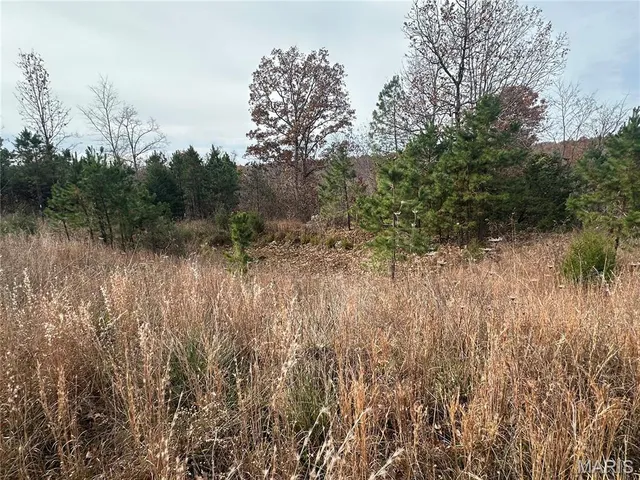 $195,900 | 4330 Highway Y Ellington Mo 63638, Ellington, MO 63638