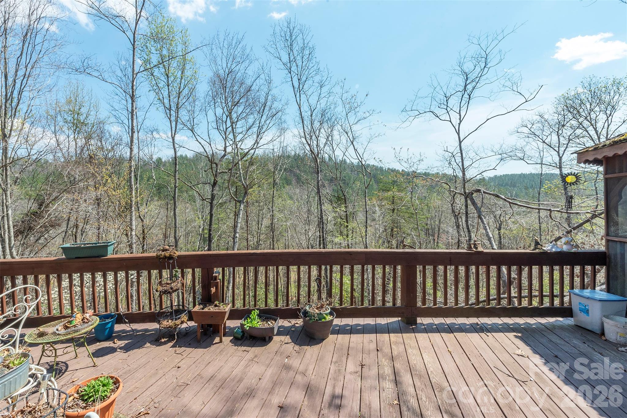 234 Havilah Road Bostic, NC 28018 - Photo 26 of 28