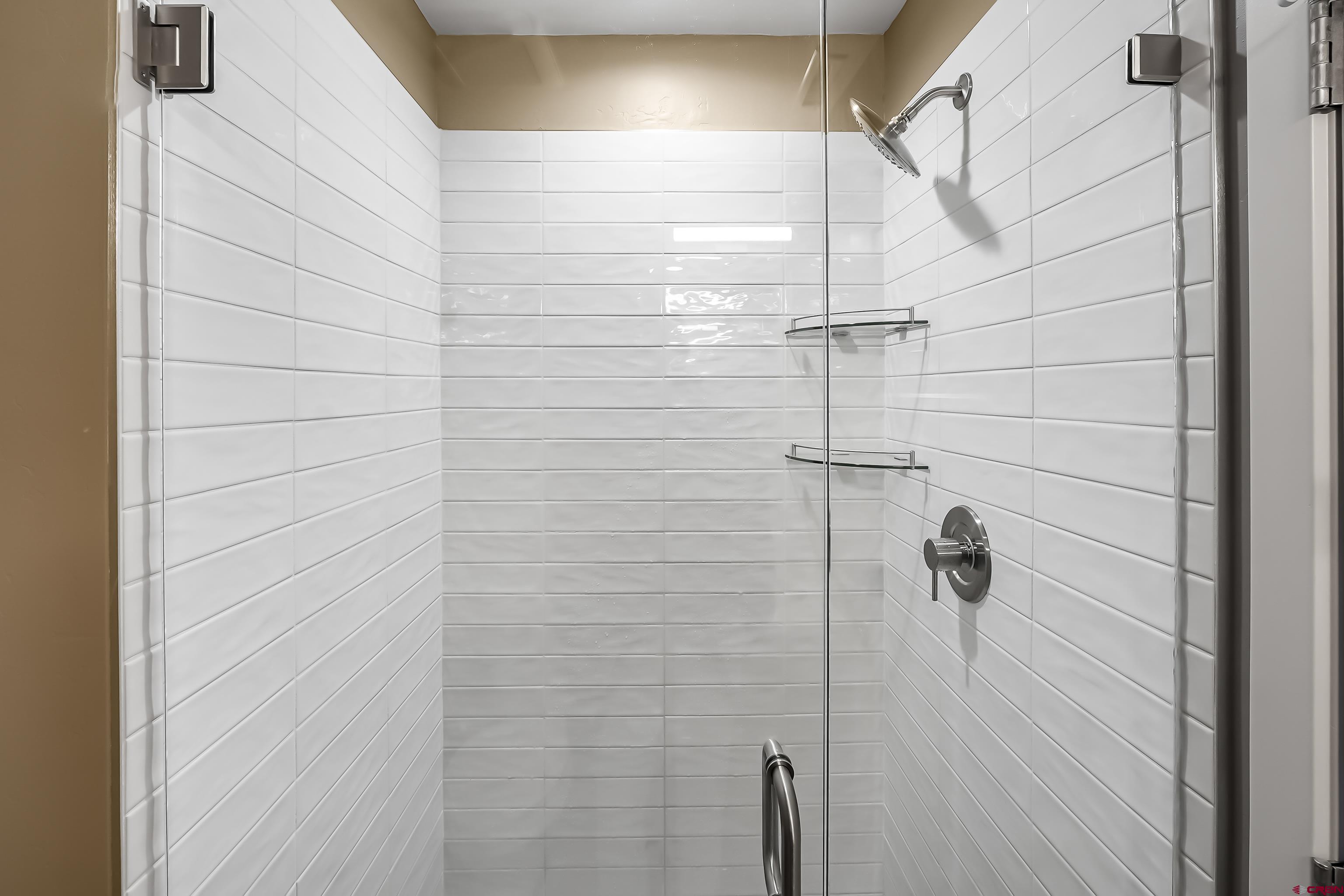 762 Goeglein Gulch Road, Unit 5 Durango, CO 81301 - Photo 28 of 43 a bathroom with a shower