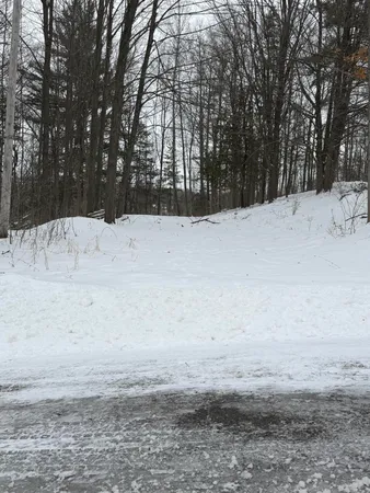 $22,900 | 313 West Spruce Street, Big Rapids, MI 49307