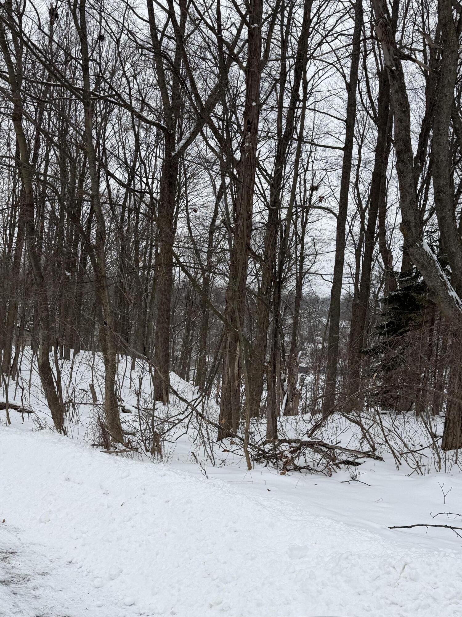 313 West Spruce Street Big Rapids, MI 49307 - Photo 2 of 3 East side of lot