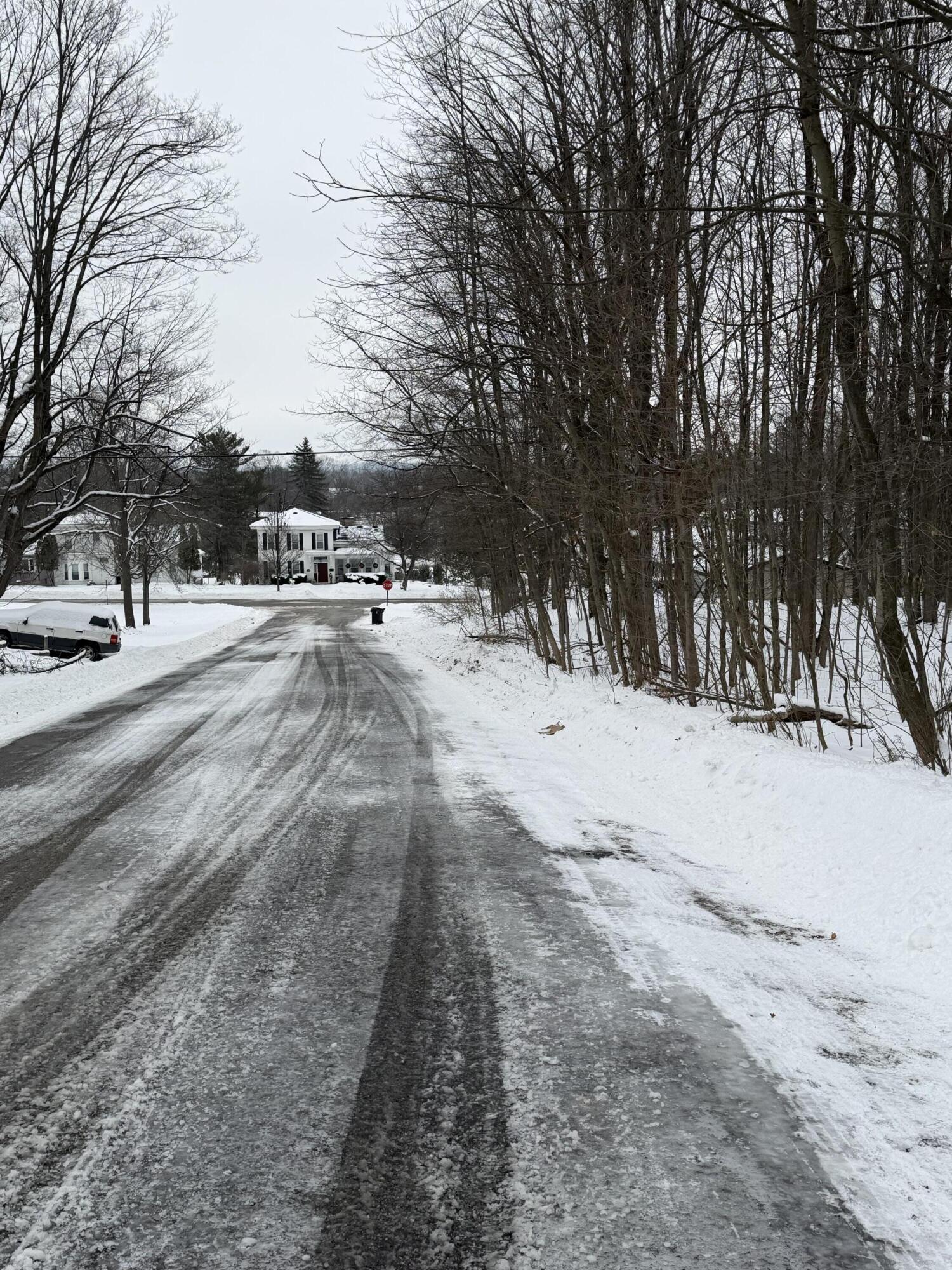 313 West Spruce Street Big Rapids, MI 49307 - Photo 3 of 3 Road view