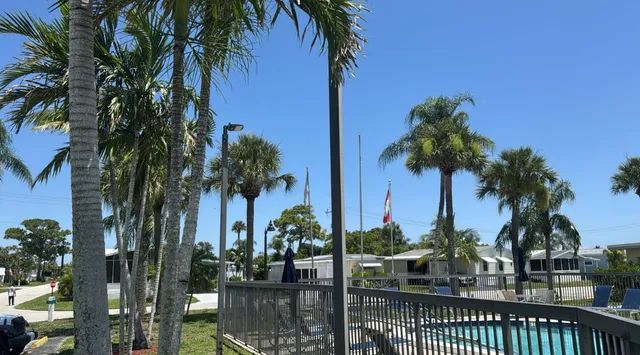 a view of outdoor space with palm trees