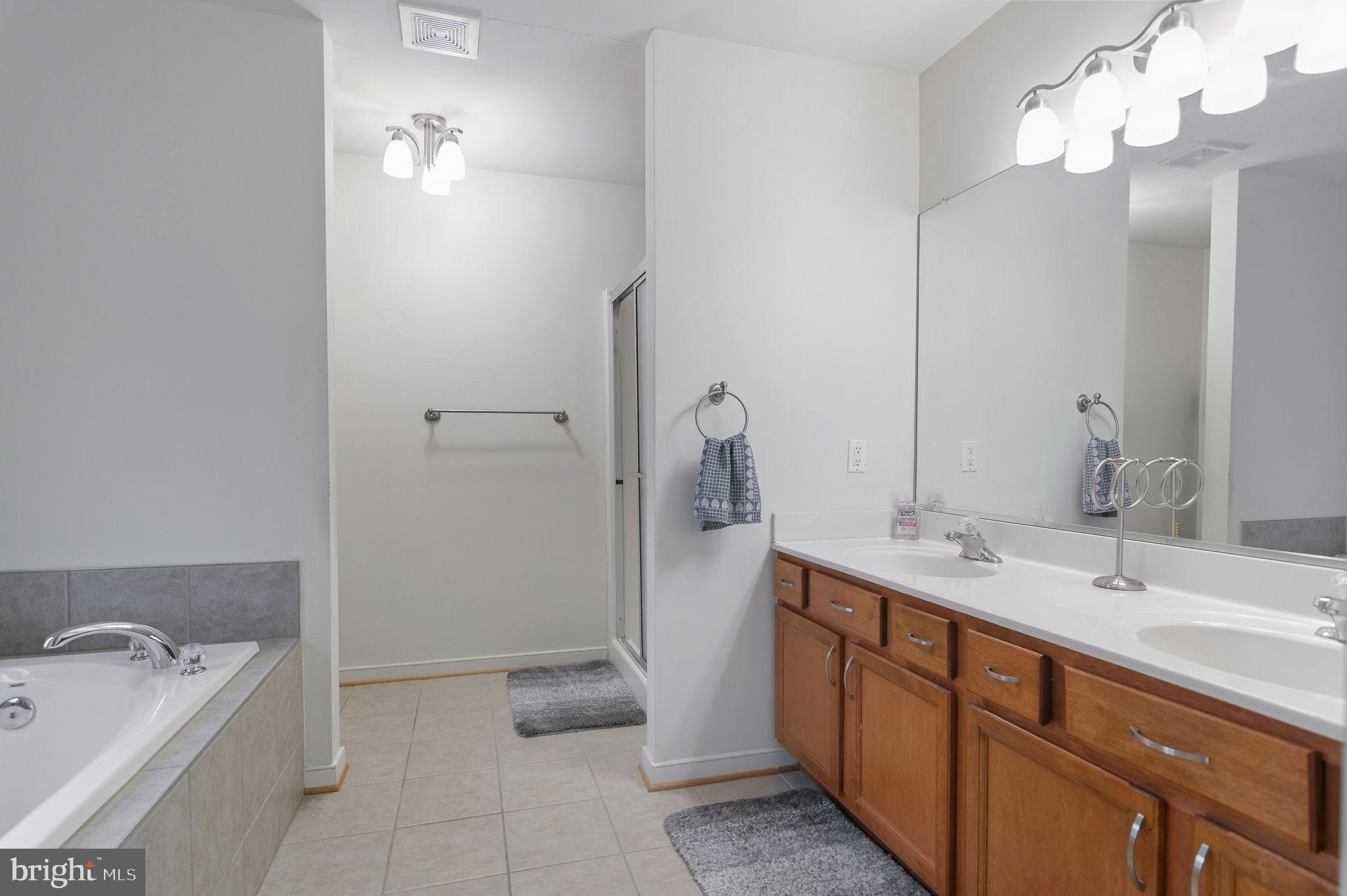 405 Harrison Circle Locust Grove, VA 22508 - Photo 18 of 33 a spacious bathroom with a sink a vanity and a mirror