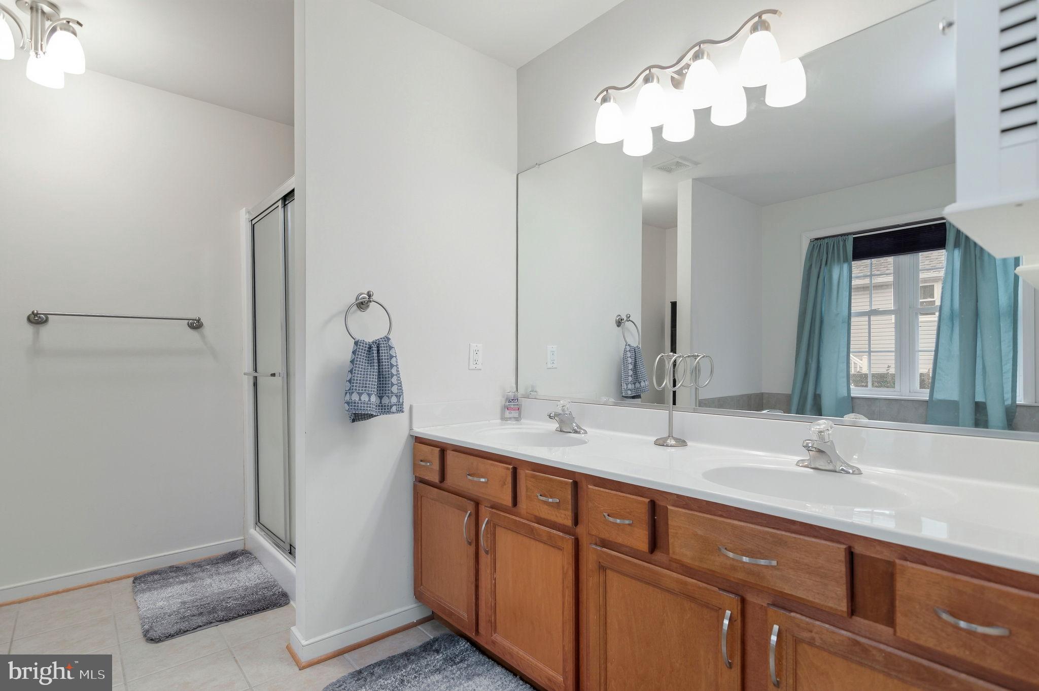 405 Harrison Circle Locust Grove, VA 22508 - Photo 19 of 33 a bathroom with a double vanity sink and a mirror