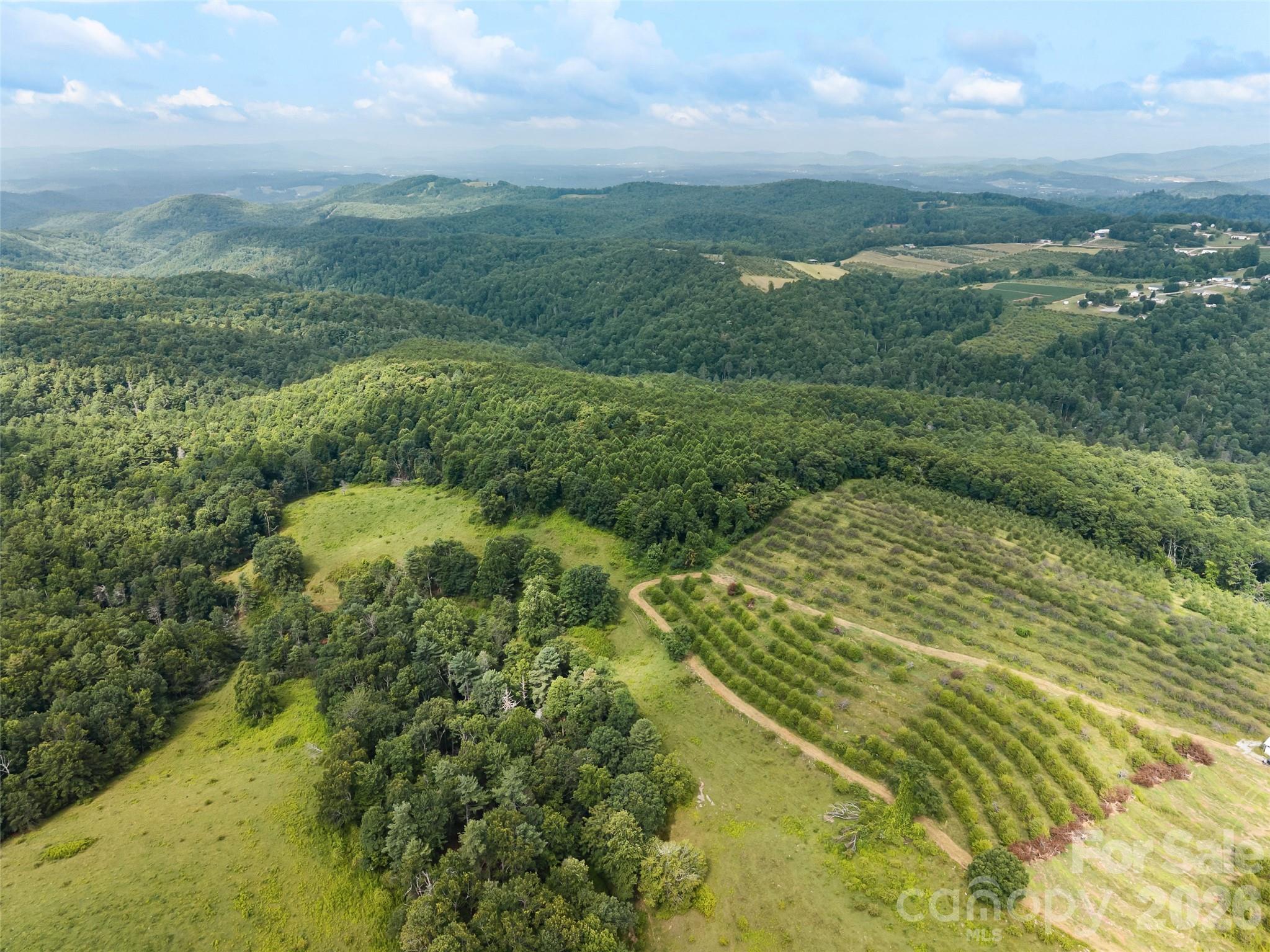 0 Summer Road, Unit 5 Hendersonville, NC 28792 - Photo 2 of 20