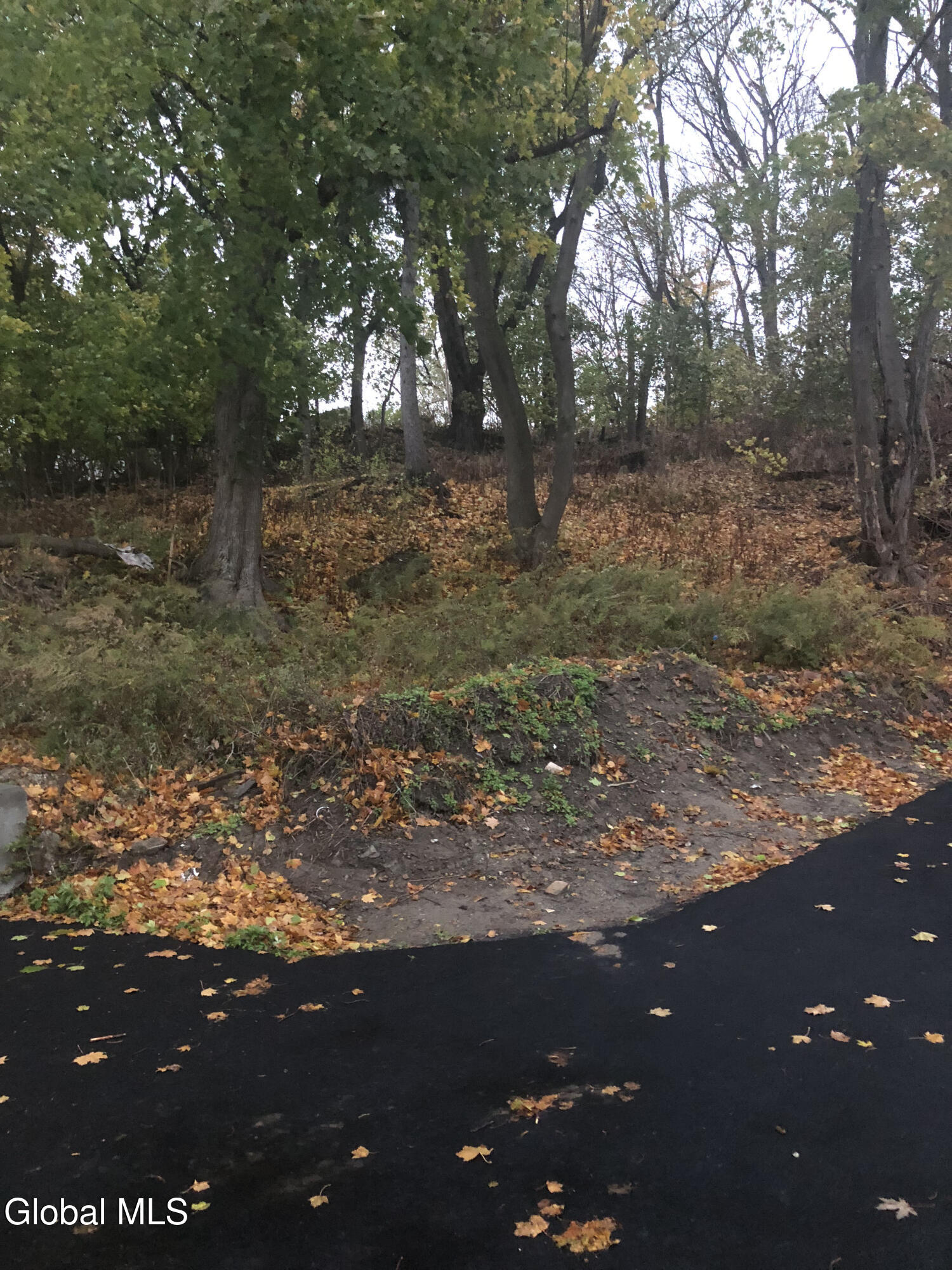 7 Brunswick Road Troy, NY 12180 - Photo 33 of 35 Backyark2