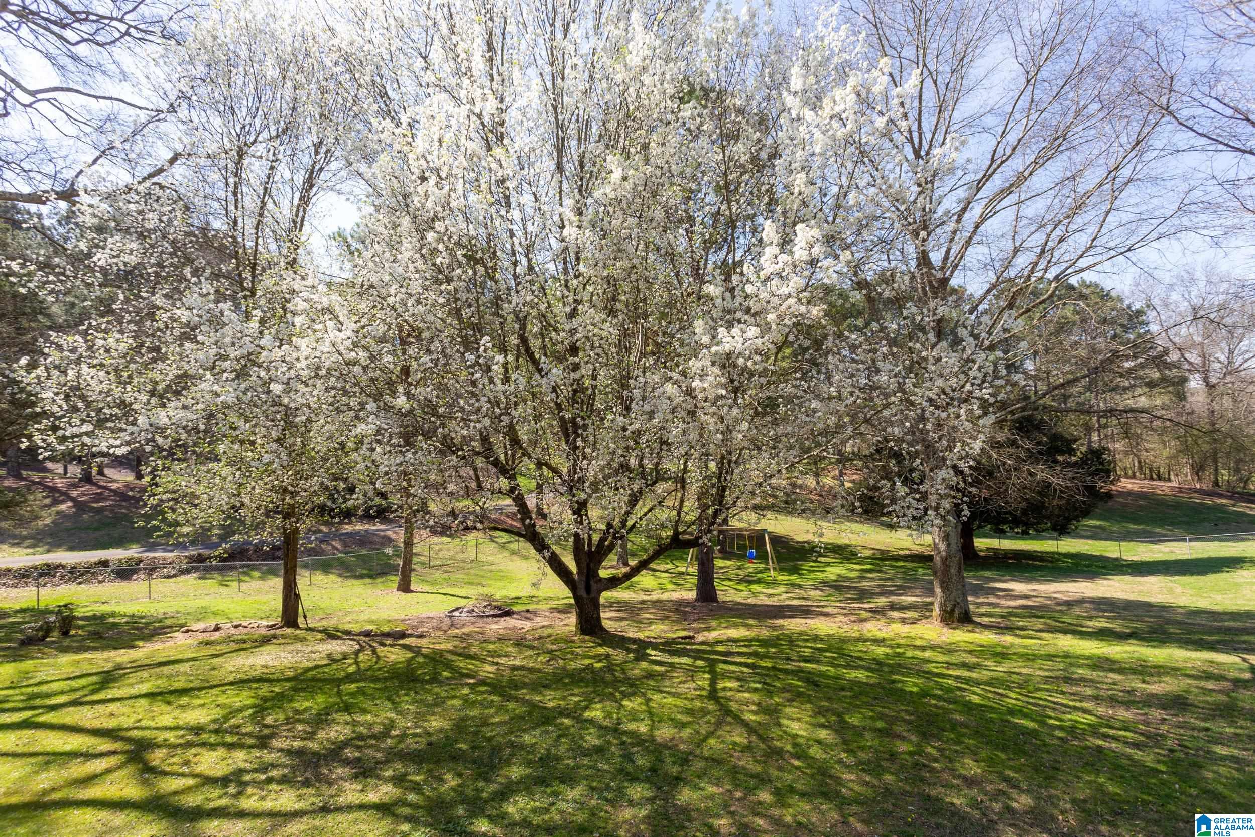 965 Sanie Road Odenville, AL 35120 - Photo 47 of 50