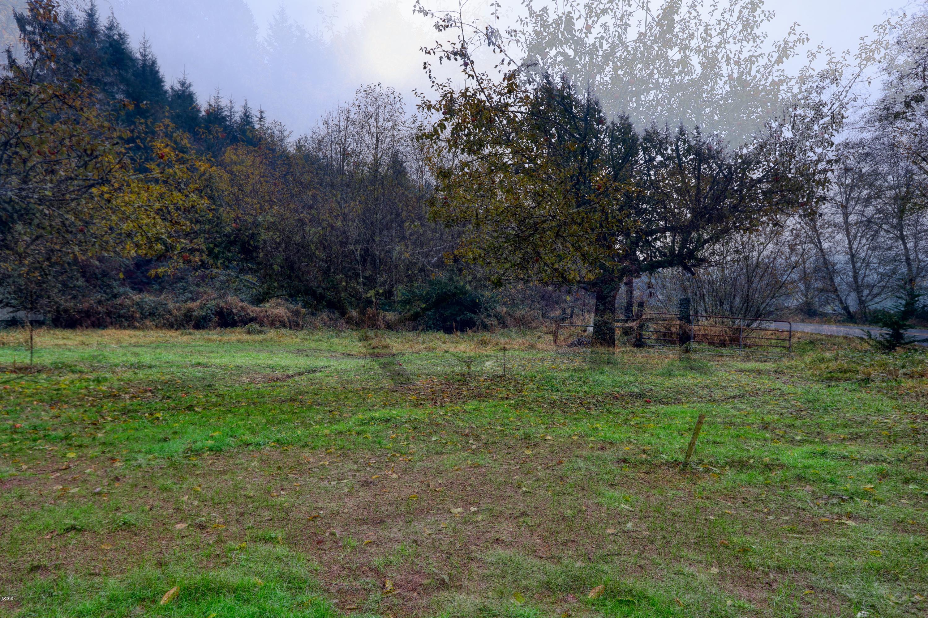 15 Yasek Loop Toledo, OR 97391 - Photo 5 of 23 Land & Fruit Trees