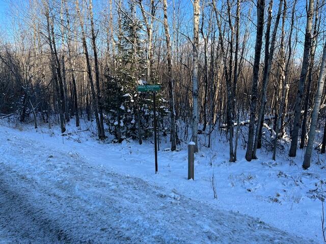 0 Daigle Cross Road Sinclair, ME 04779 - Photo 10 of 10 Daigle Cross Rd land