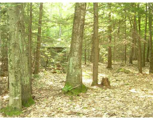 Lot 8 Sunset Cove Road Parsonsfield, ME 04047 - Photo 11 of 12 Land/Lot.