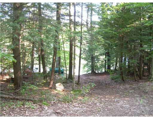 Lot 8 Sunset Cove Road Parsonsfield, ME 04047 - Photo 5 of 12 Land.
