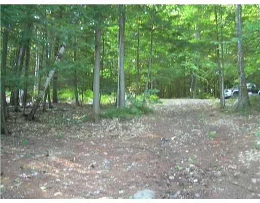 Lot 8 Sunset Cove Road Parsonsfield, ME 04047 - Photo 6 of 12 Land.
