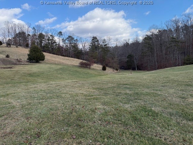 3481 Mt Union Road Fraziers Bottom, WV 25082 - Photo 16 of 18 Gallery Image 16