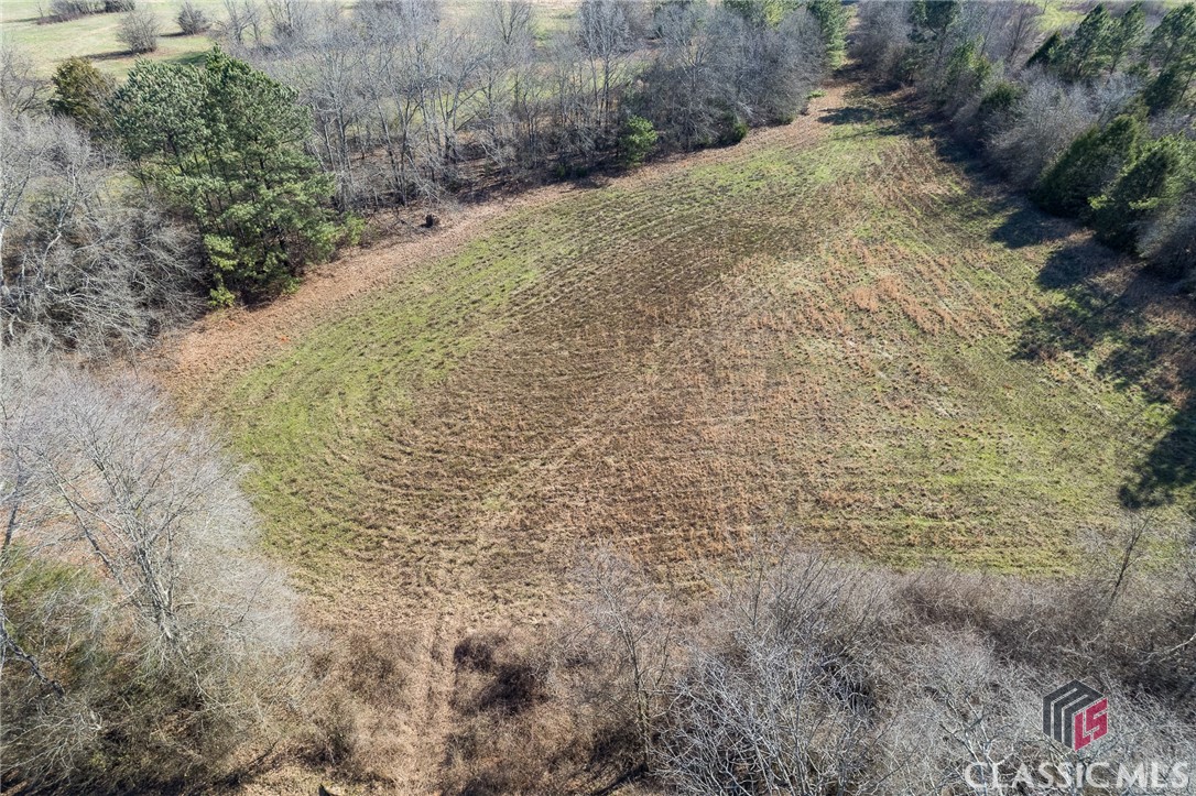 Tract5 A B Martin Road Good Hope, GA 30641 - Photo 7 of 21