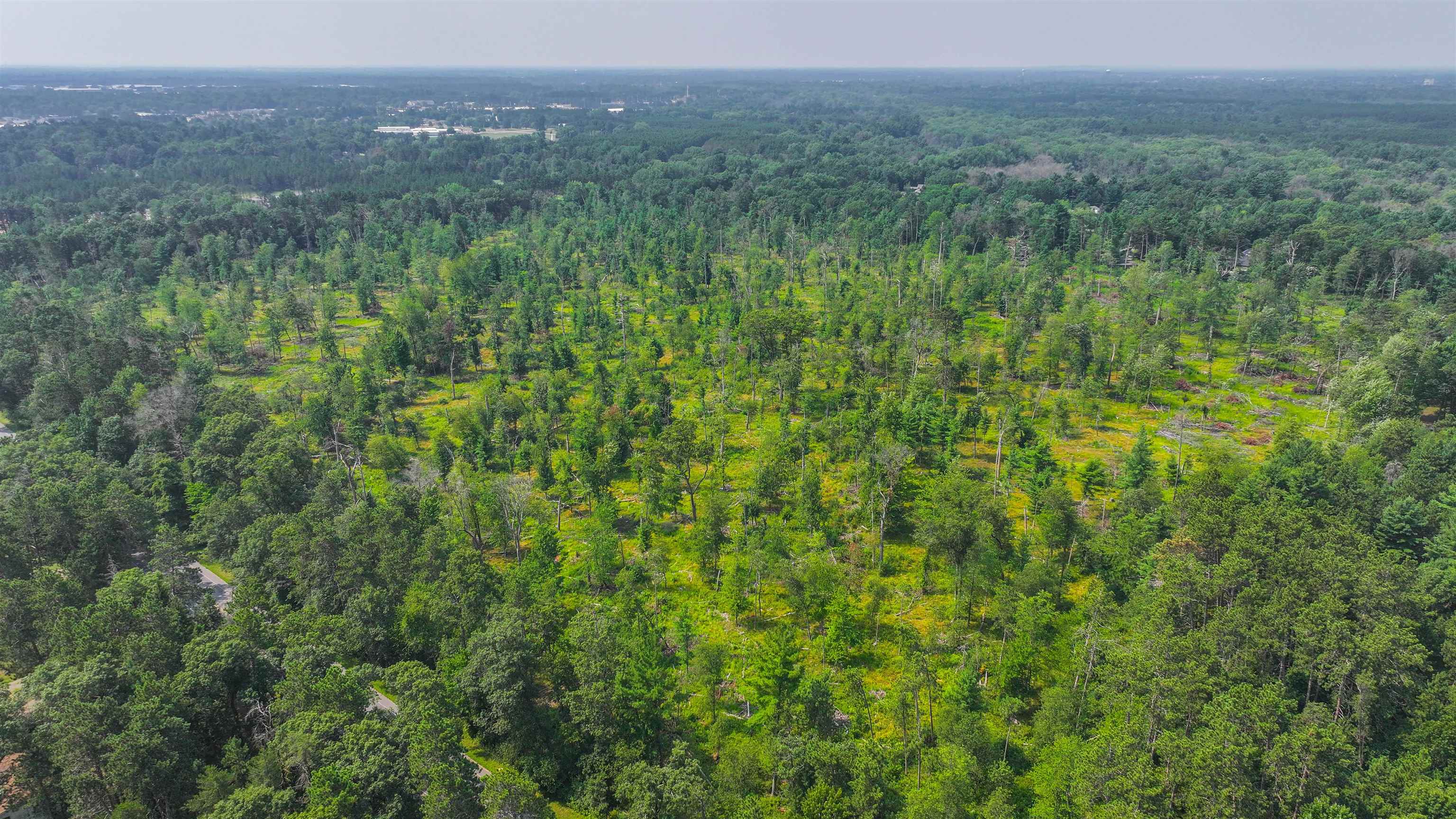 44.59-acres Brilowski Road Stevens Point, WI 54482 - Photo 3 of 10