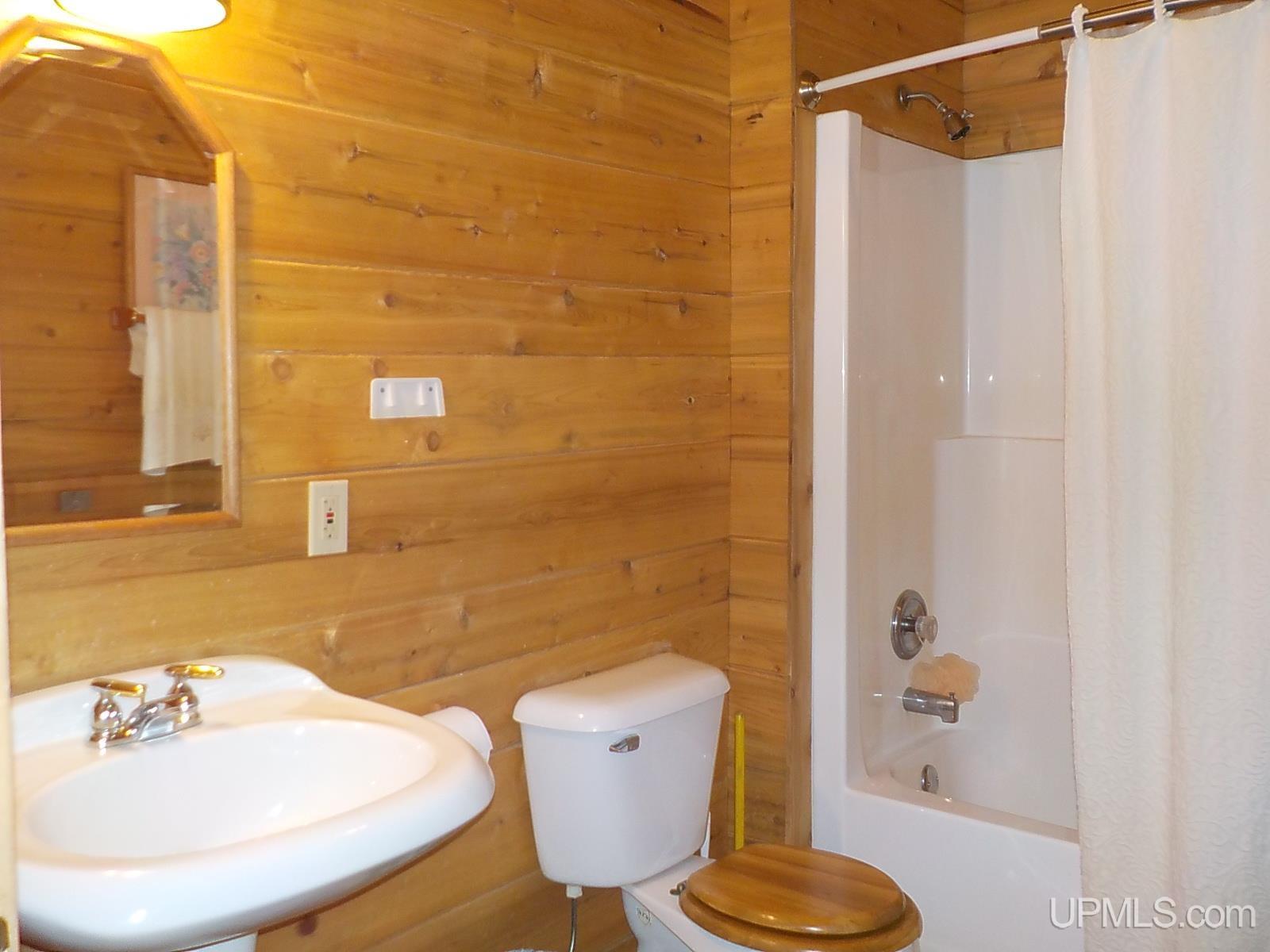 318 Paint River Road Crystal Falls, MI 49920 - Photo 20 of 50 Gallery Image 20