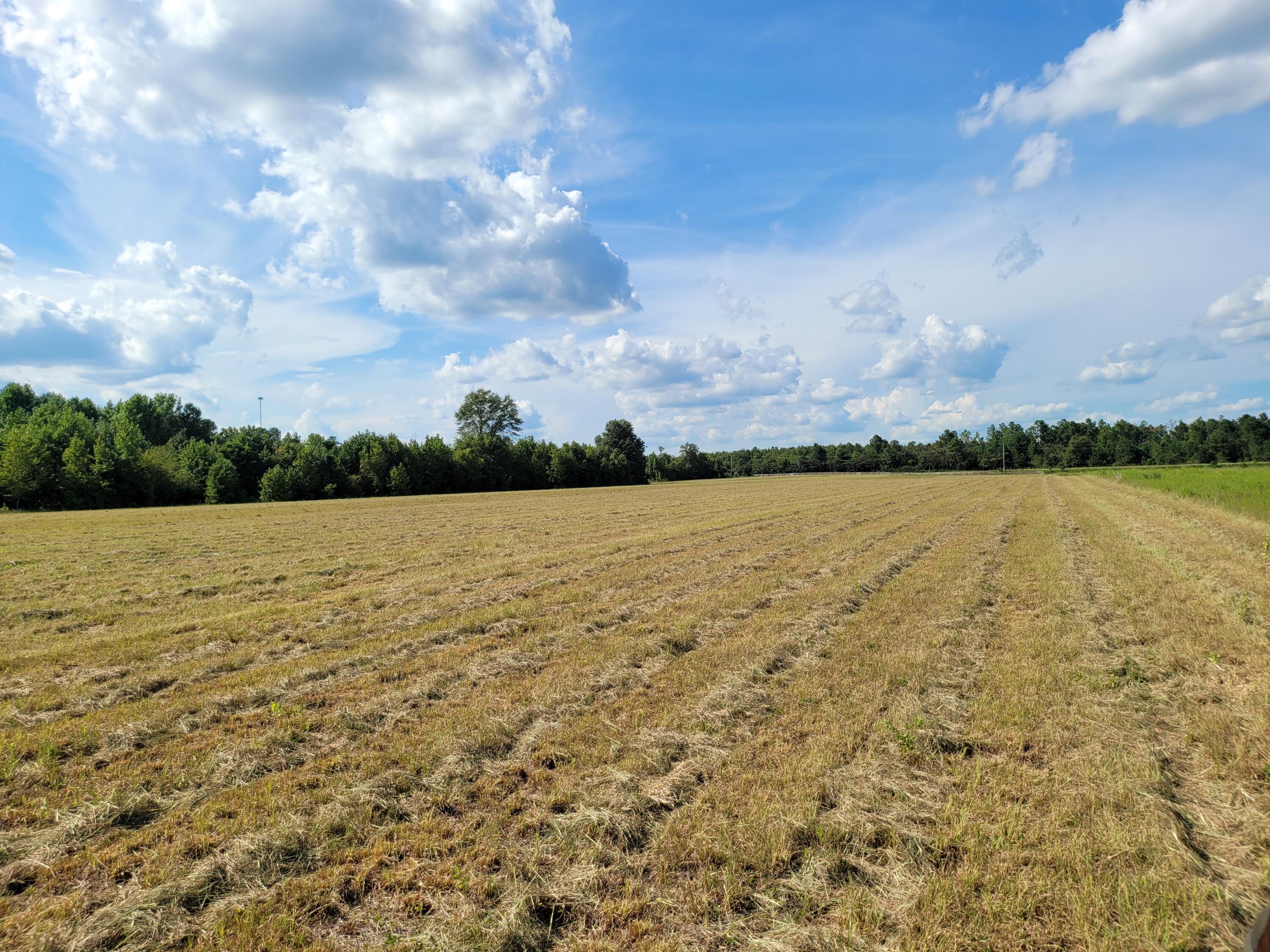 0 Tinker Creek Road Williston, SC 29853 - Photo 11 of 20