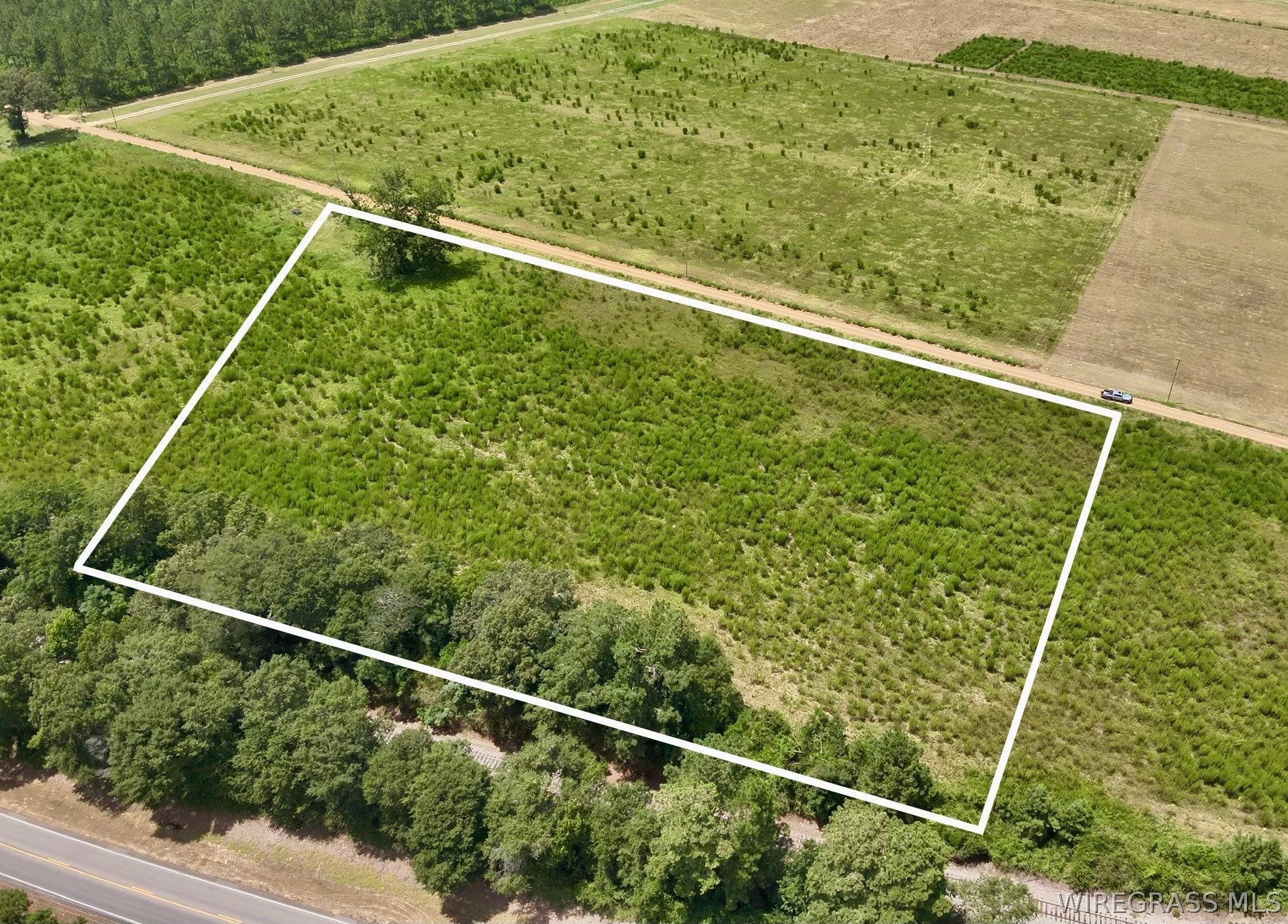 5.97-acres Huskey Road Dothan, AL 36303 - Photo 5 of 8 Gallery Image 5