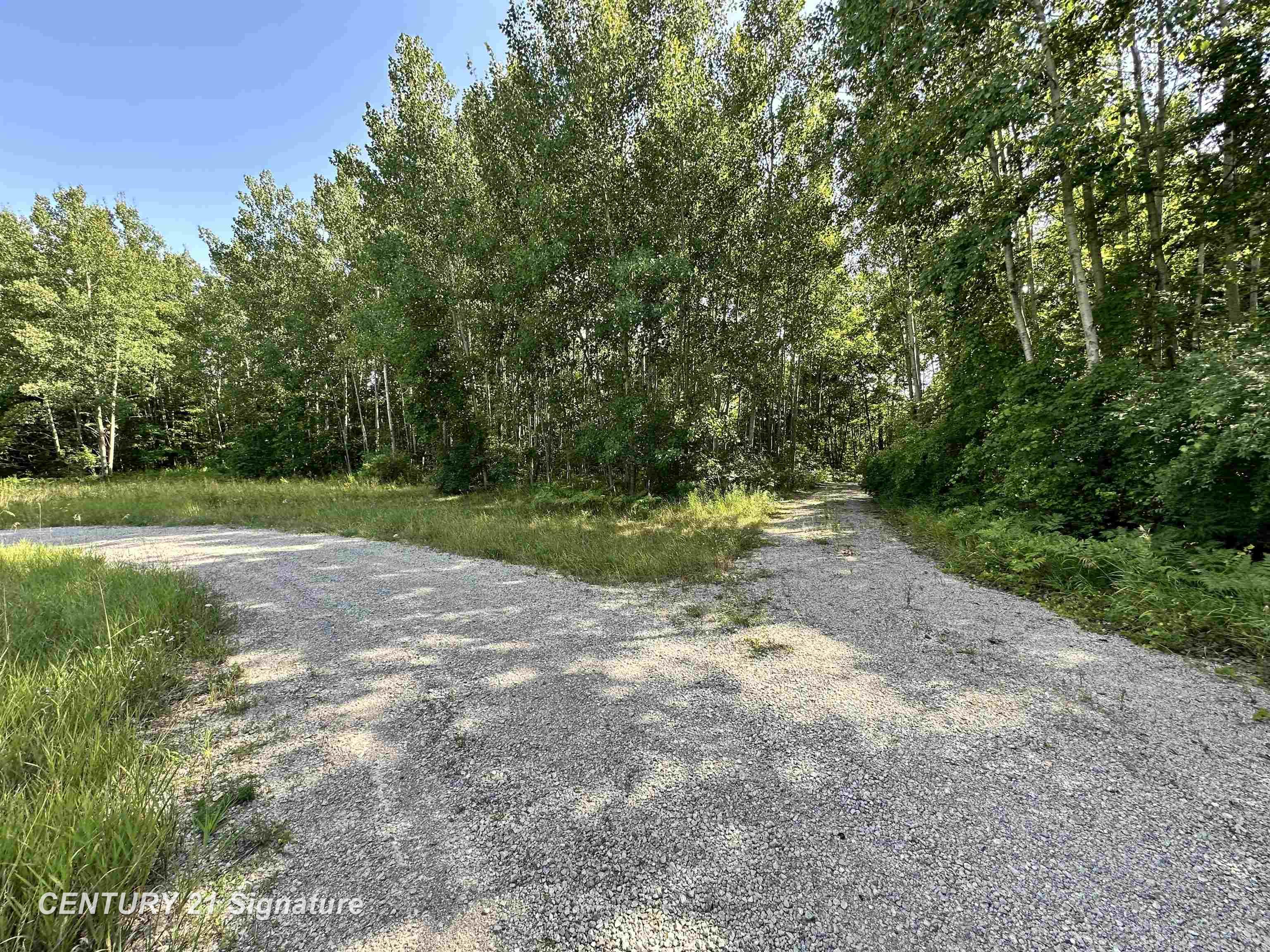 Vl West School Road Mount Pleasant, MI 48858 - Photo 10 of 10