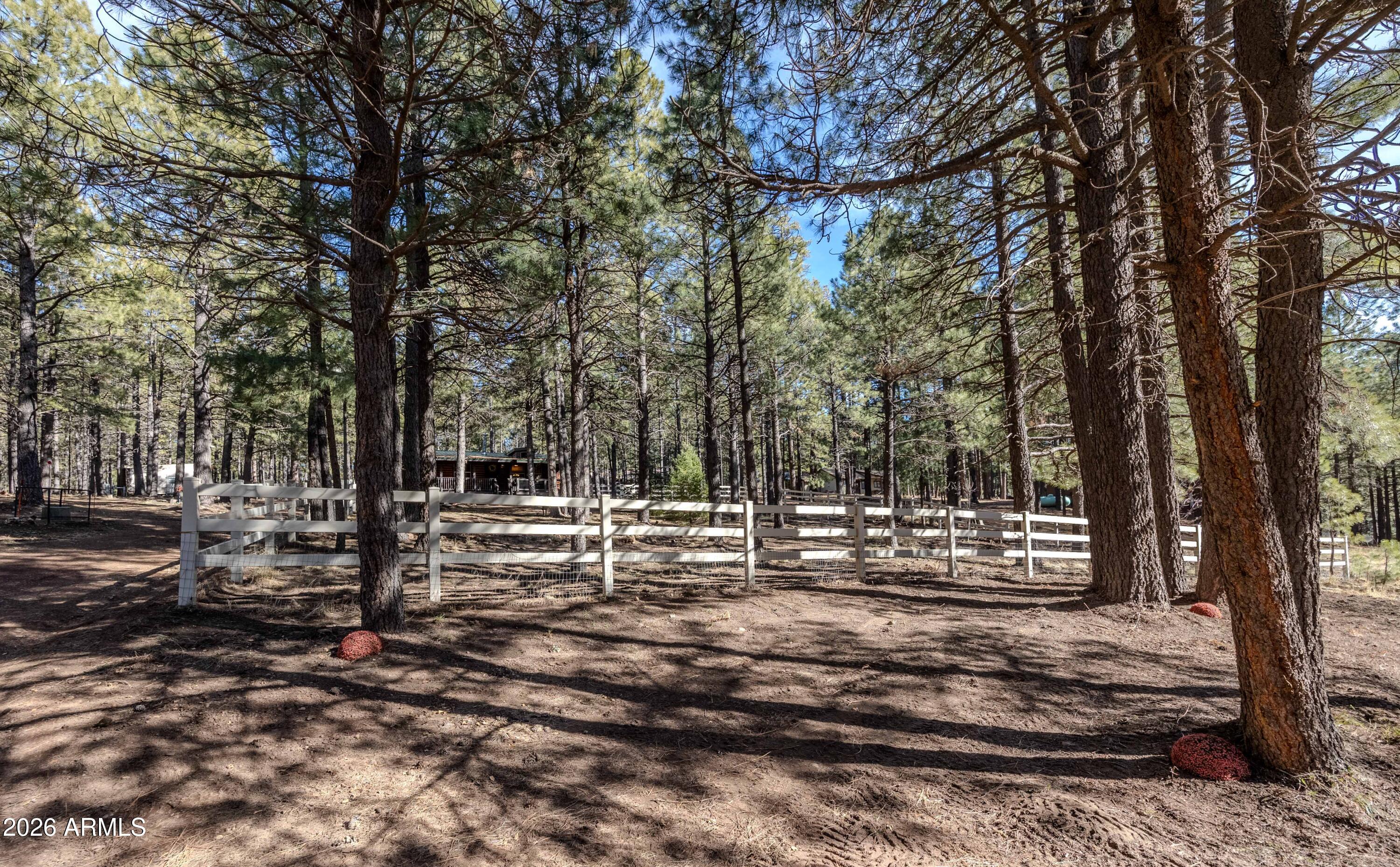 1415 Sheep Springs Road Forest Lakes, AZ 85931 - Photo 28 of 46