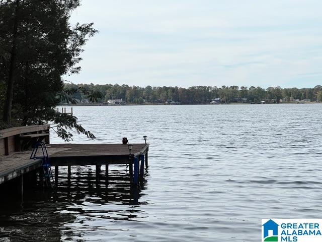 785 Ridgeway Circle Talladega, AL 35160 - Photo 45 of 67