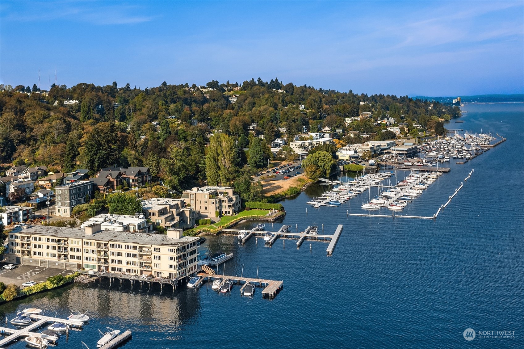 334 Lakeside Avenue South, Unit 401 Seattle, WA 98144 - Photo 17 of 24 a view of a city