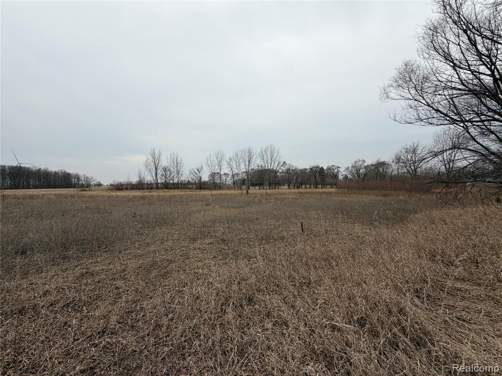 V/l Ringle Caro, MI 48723 - Photo 3 of 3
