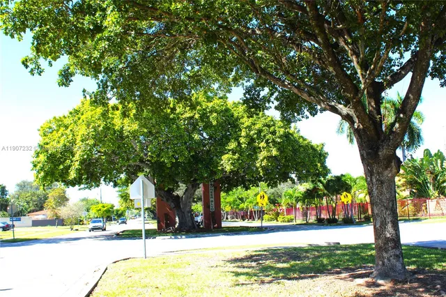 a view of a yard with a tree