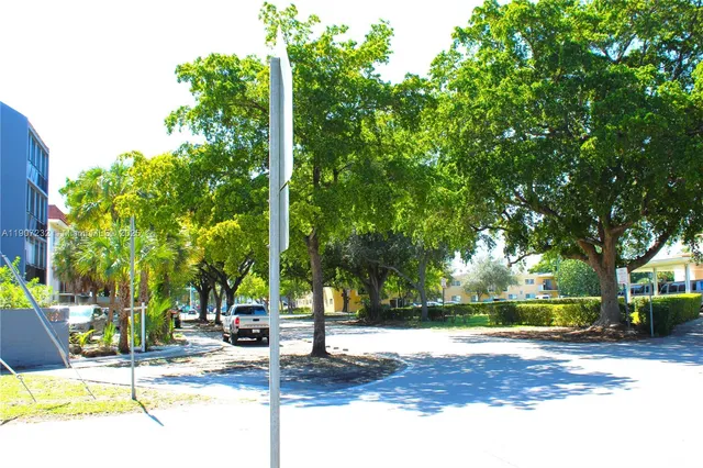 a view of a park with trees and plants