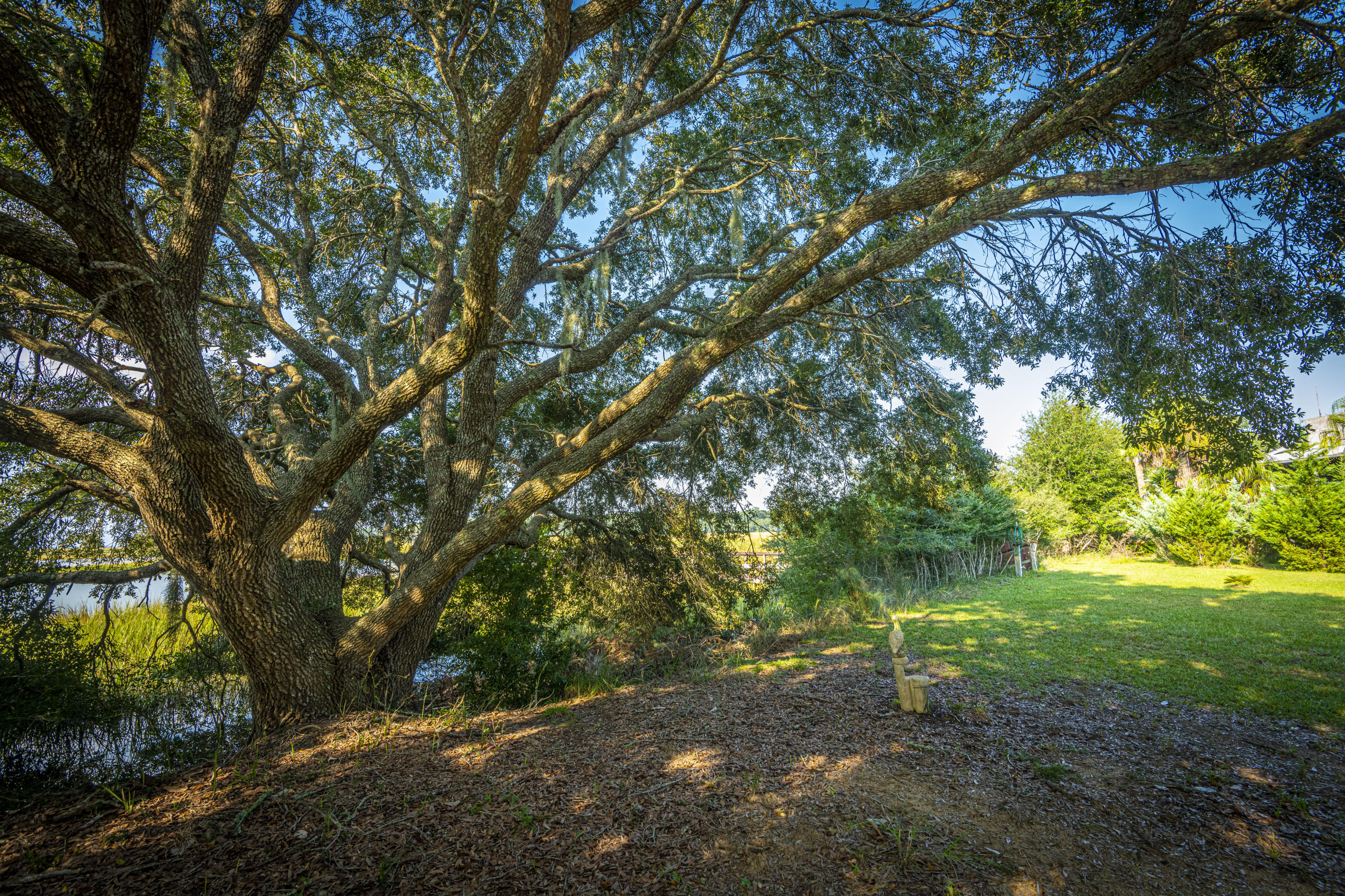 8959 Sandy Creek Road Edisto Island, SC 29438 - Photo 47 of 62 DSC_7444