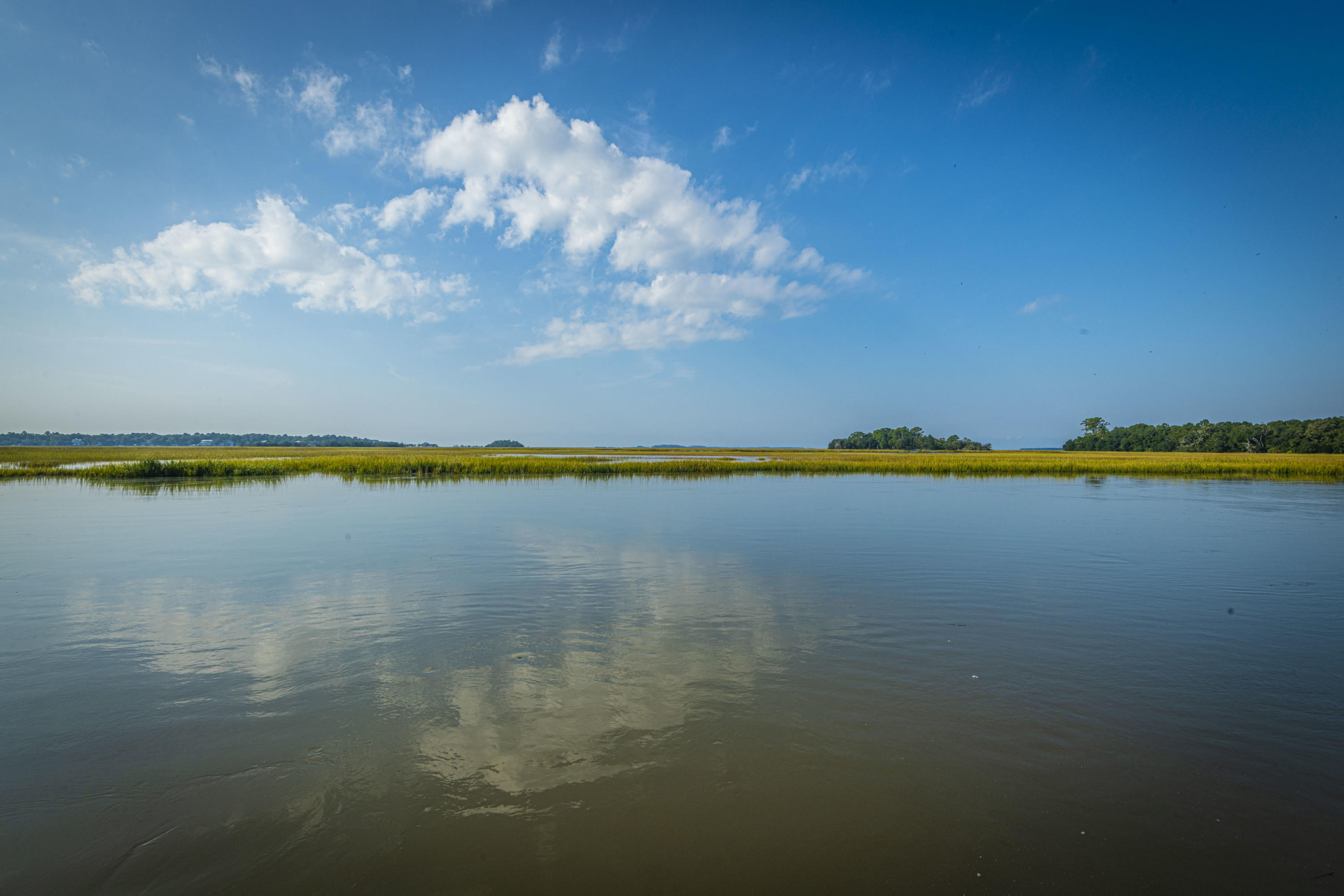 8959 Sandy Creek Road Edisto Island, SC 29438 - Photo 50 of 62 DSC_7458