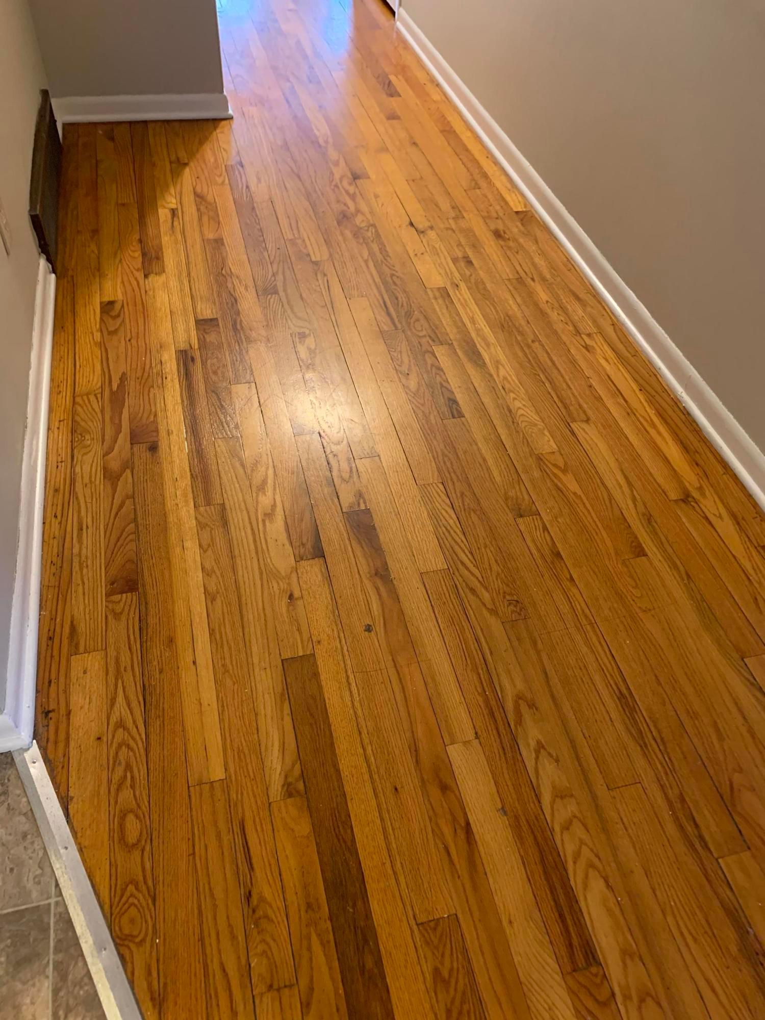 4724 Dechant Road Columbus, OH 43229 - Photo 3 of 12