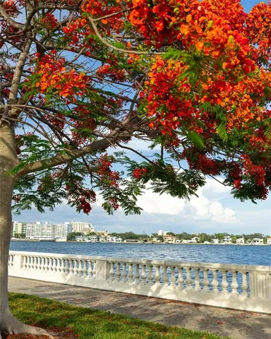 $165,000 | 4335 Aegean Drive, Unit 212A, Tampa, FL 33611