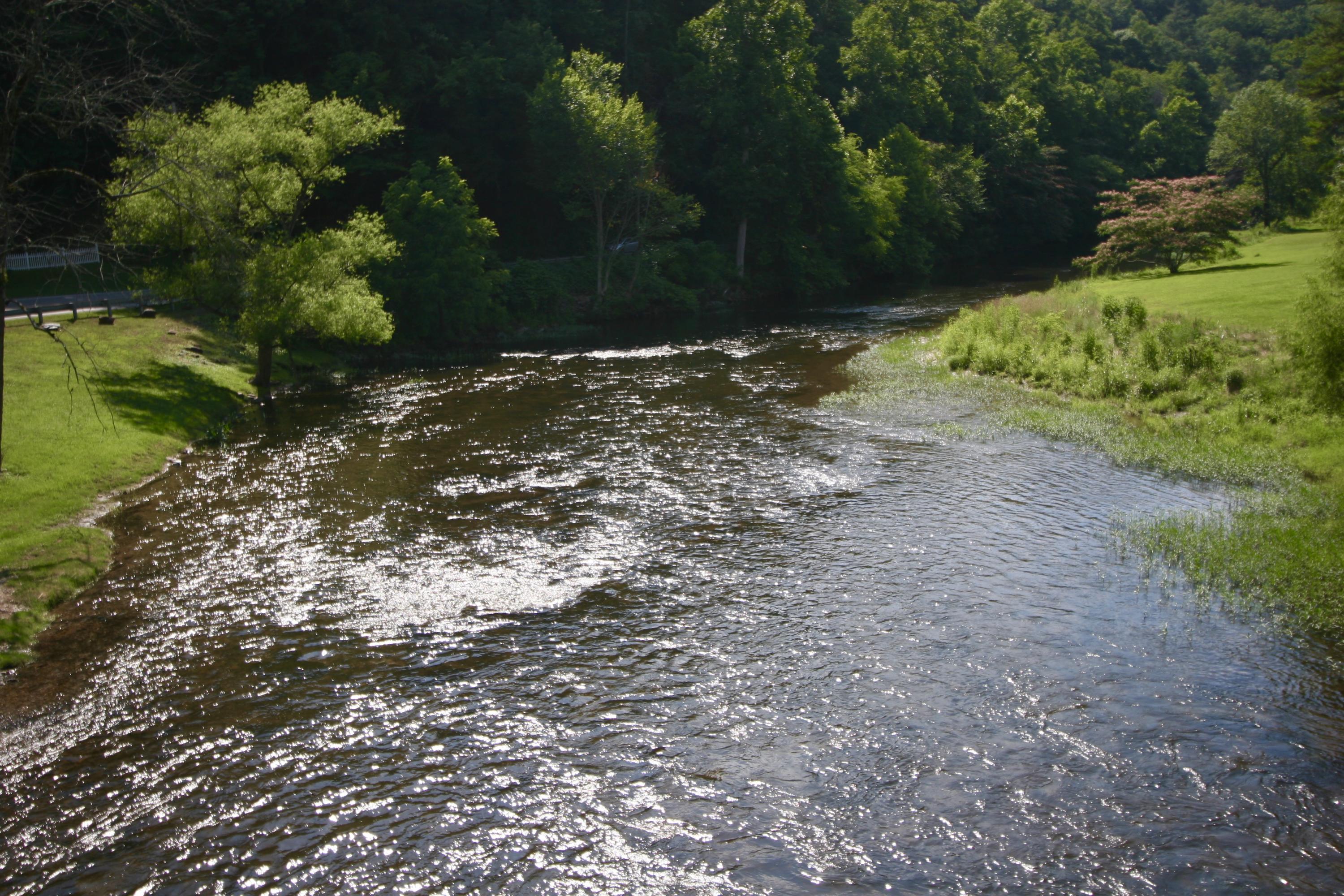 250 Rafter Road Tellico Plains, TN 37385 - Photo 1 of 7 fullsizeoutput_d20