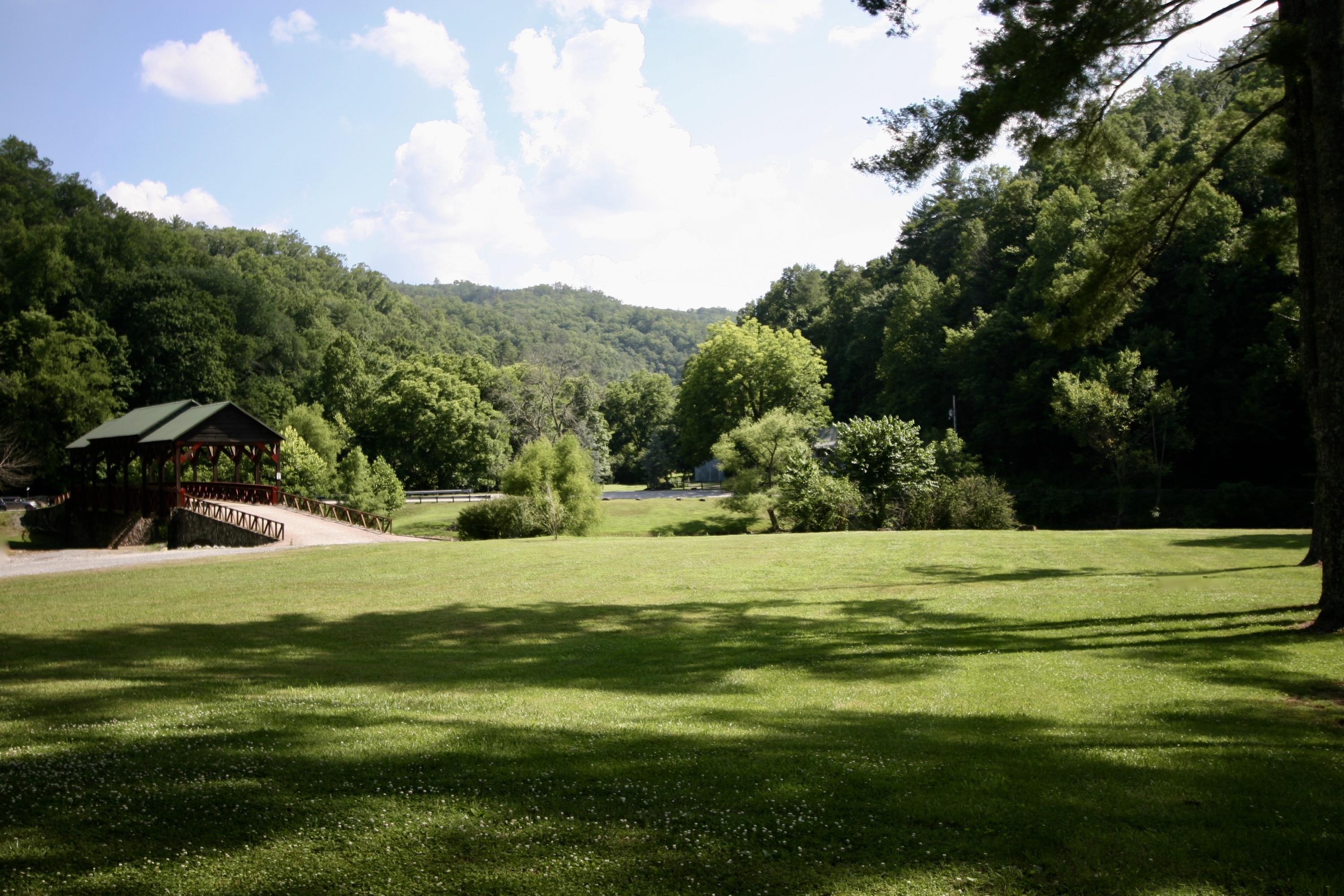 250 Rafter Road Tellico Plains, TN 37385 - Photo 2 of 7 fullsizeoutput_d17